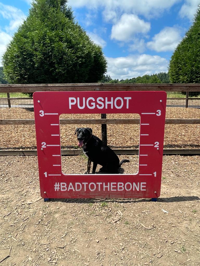 Thatcher Dog Park - Forest Grove, OR