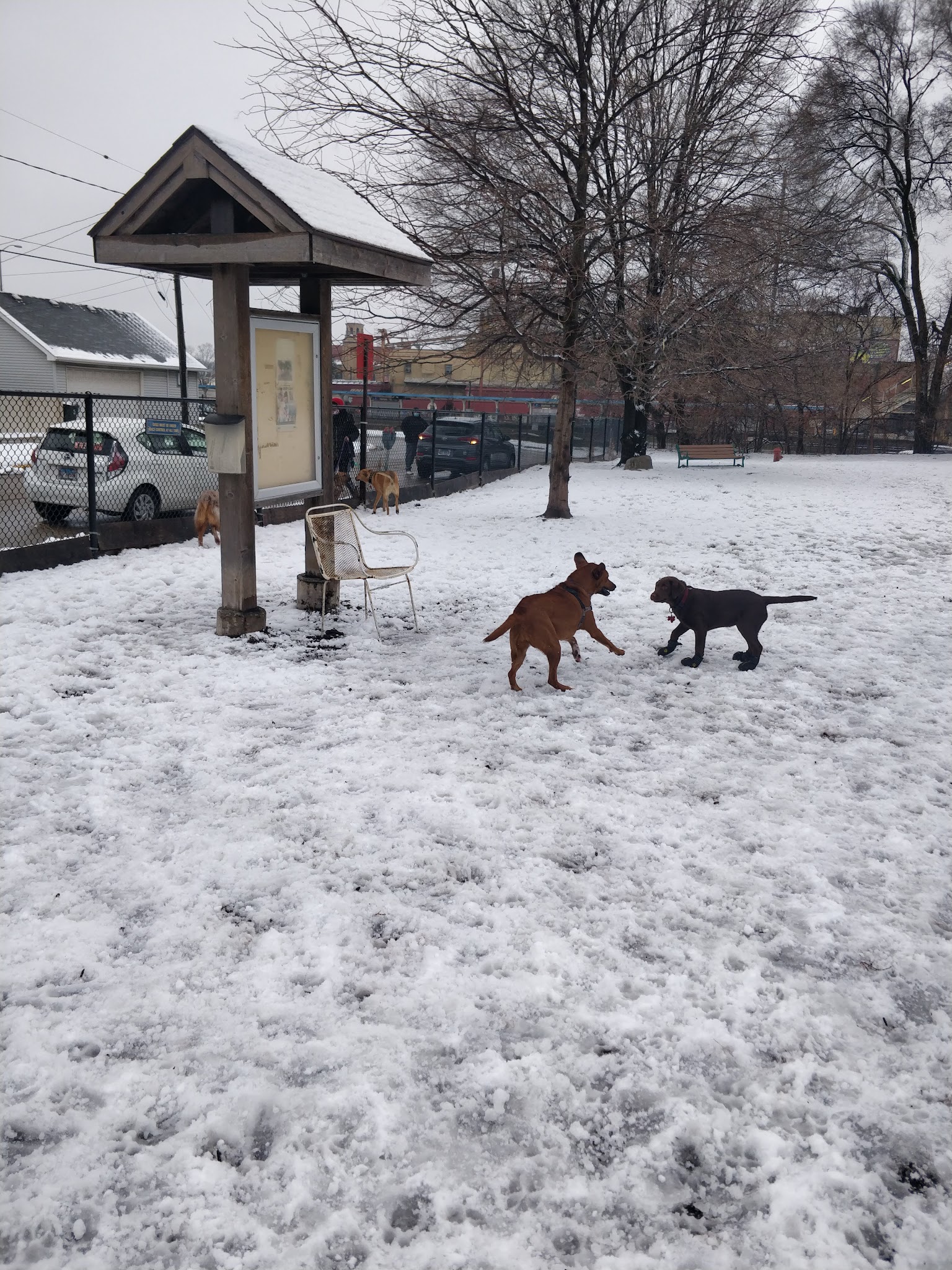Forest Bark Dog Park - Forest Park, IL