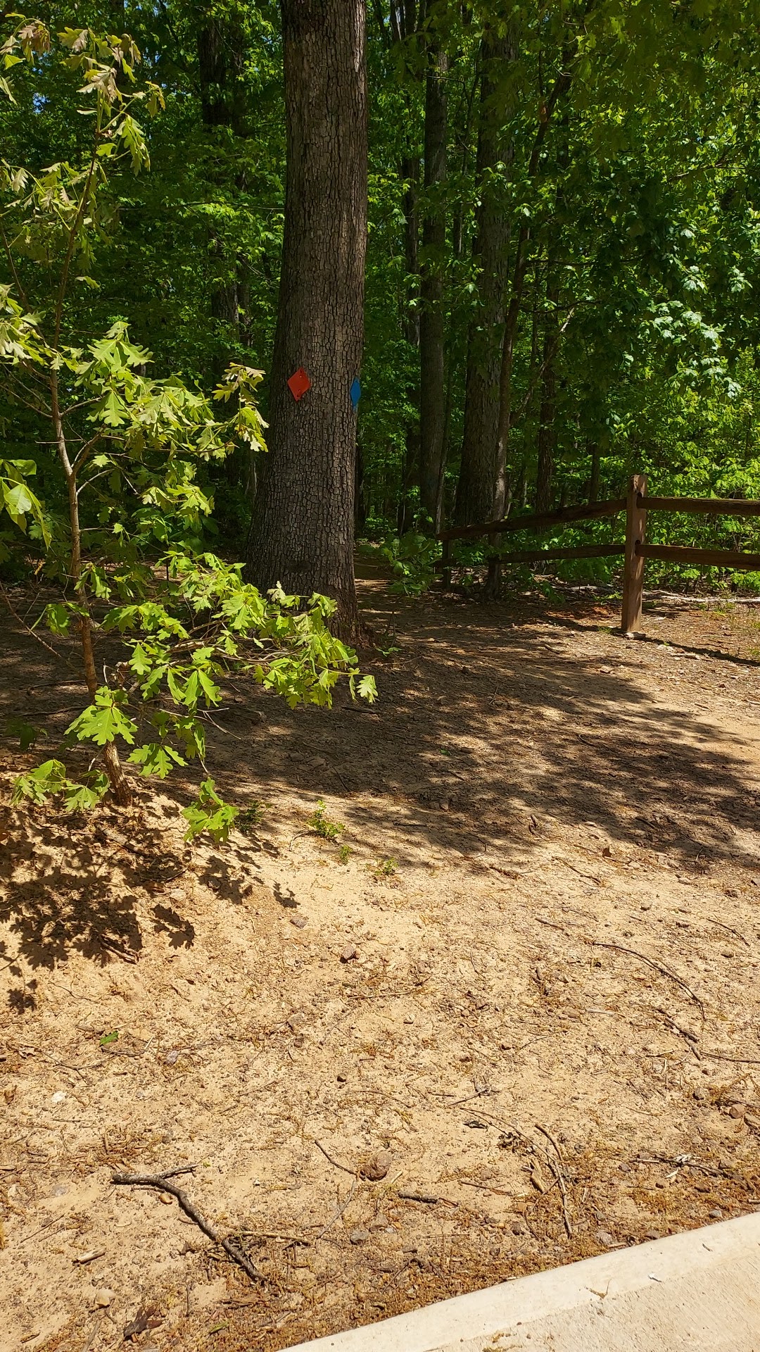 New London Tech Trails - Forest, VA