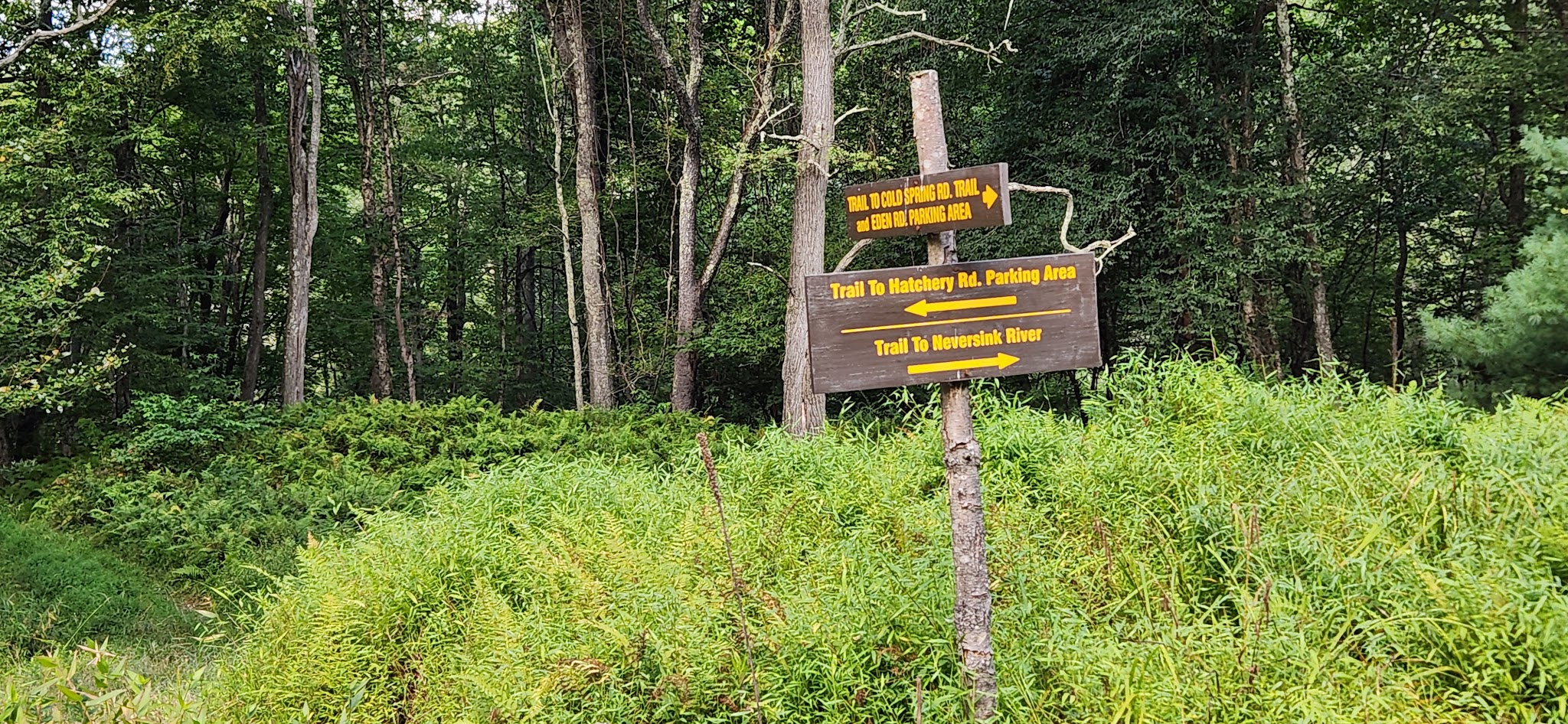Hatchery Road trailhead - Forestburgh, NY