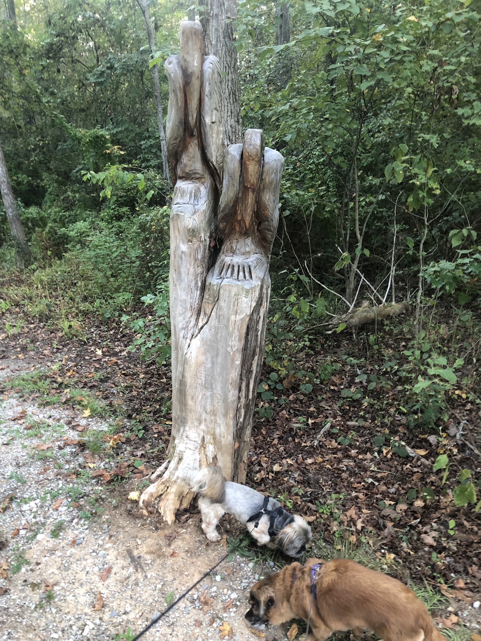 Forkland Park - Forkland, AL