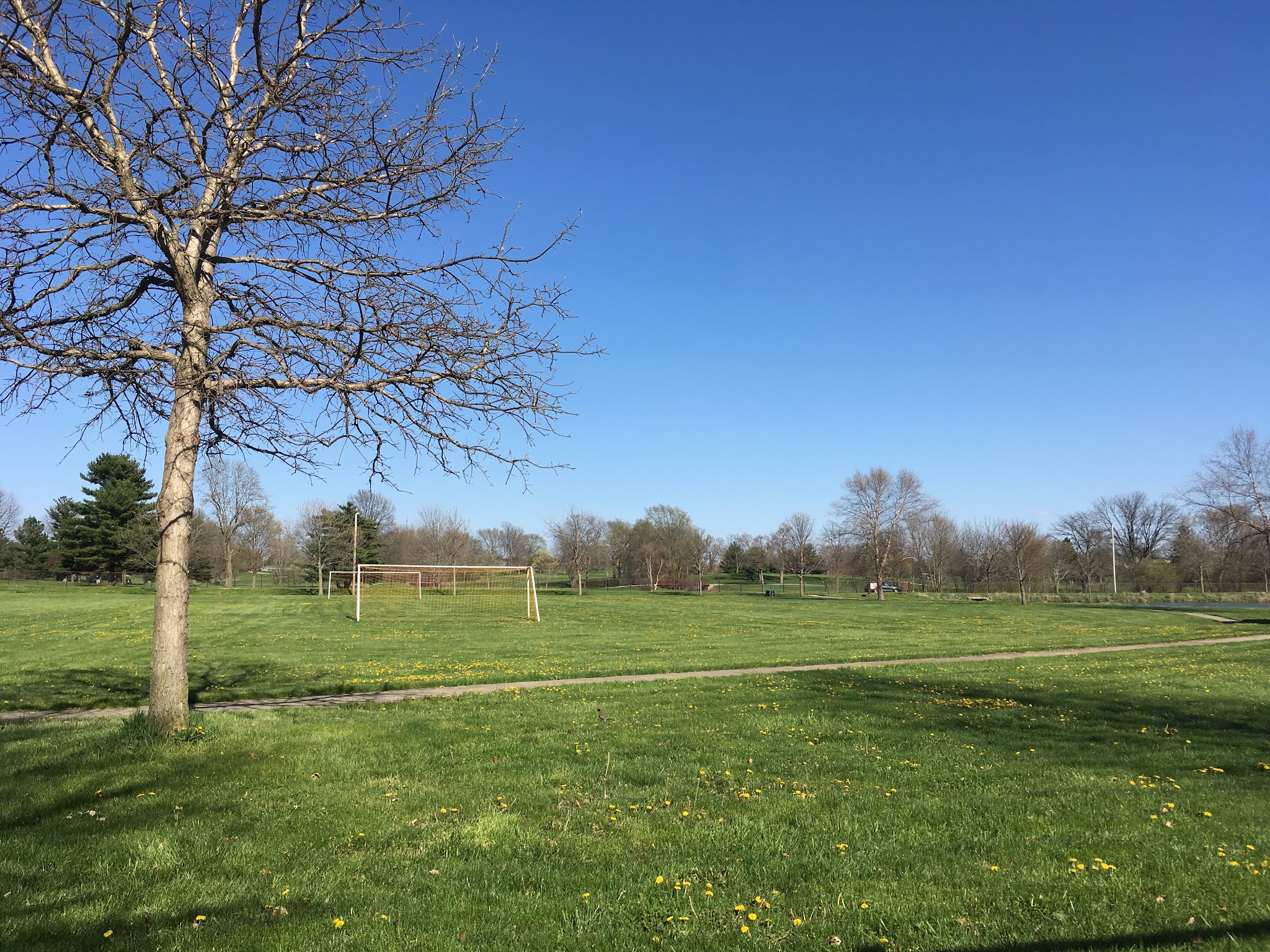 Forsyth Pocket Park - Forsyth, IL