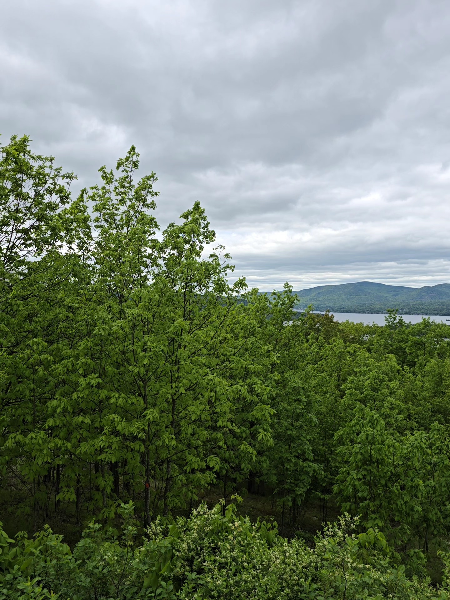 Schumann Preserve at Pilot Knob - Fort Ann, NY