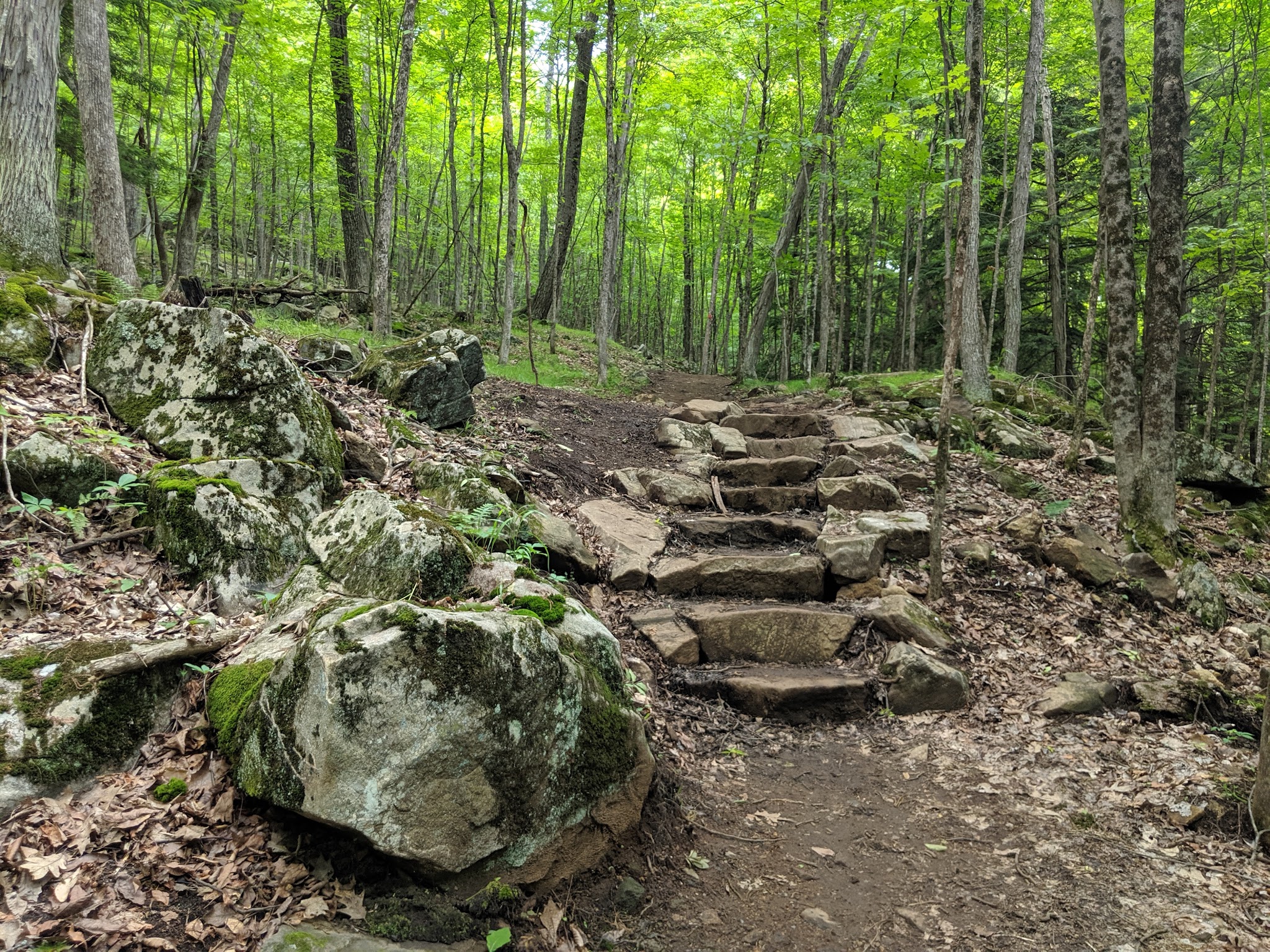 Schumann Preserve at Pilot Knob - Fort Ann, NY