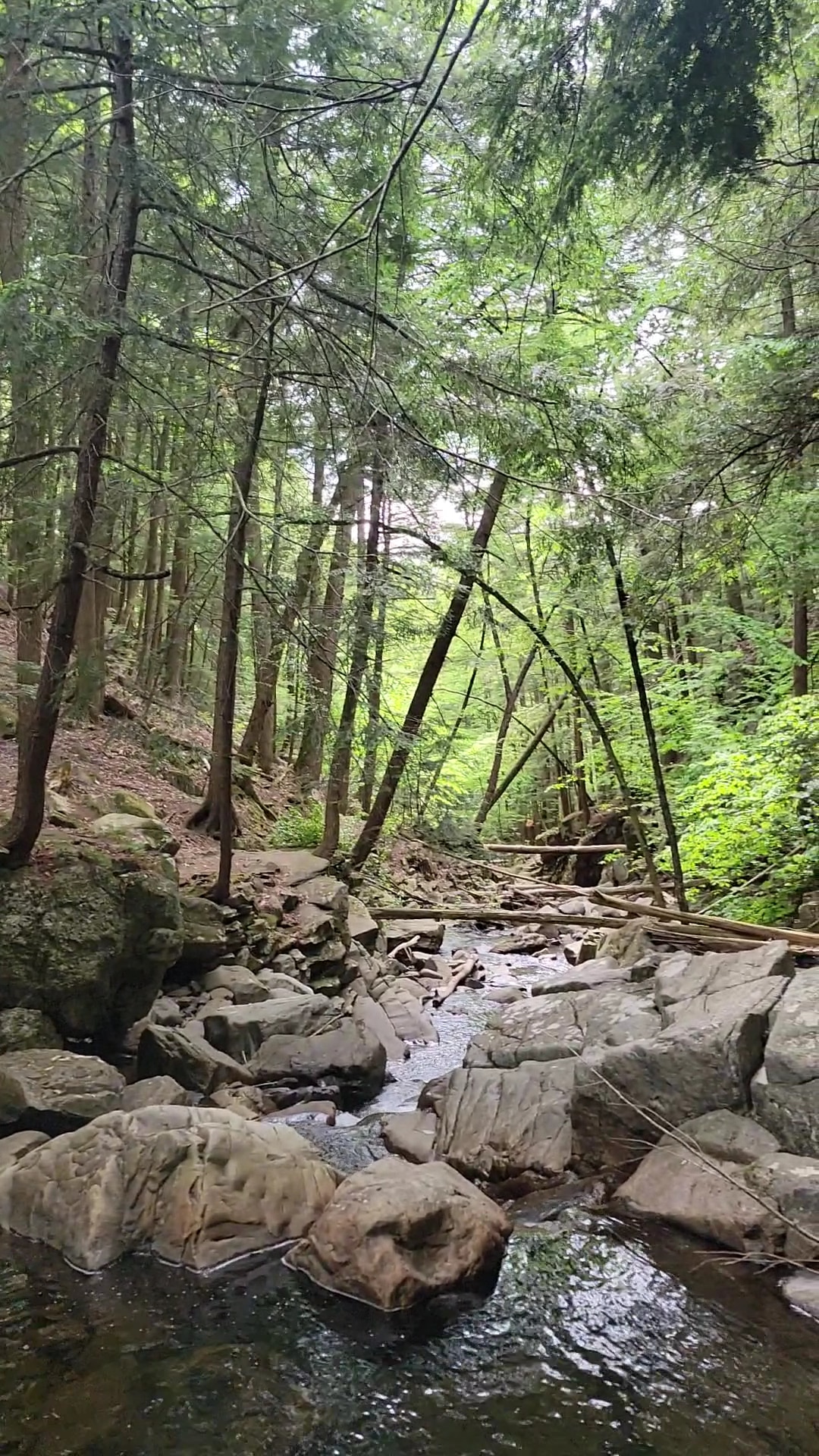 Shelving Rock Area of the Lake George Wild Forest - Fort Ann, NY