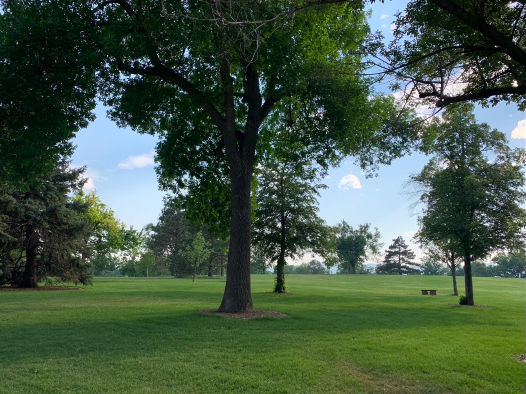 Fort Collins City Park - Fort Collins, CO