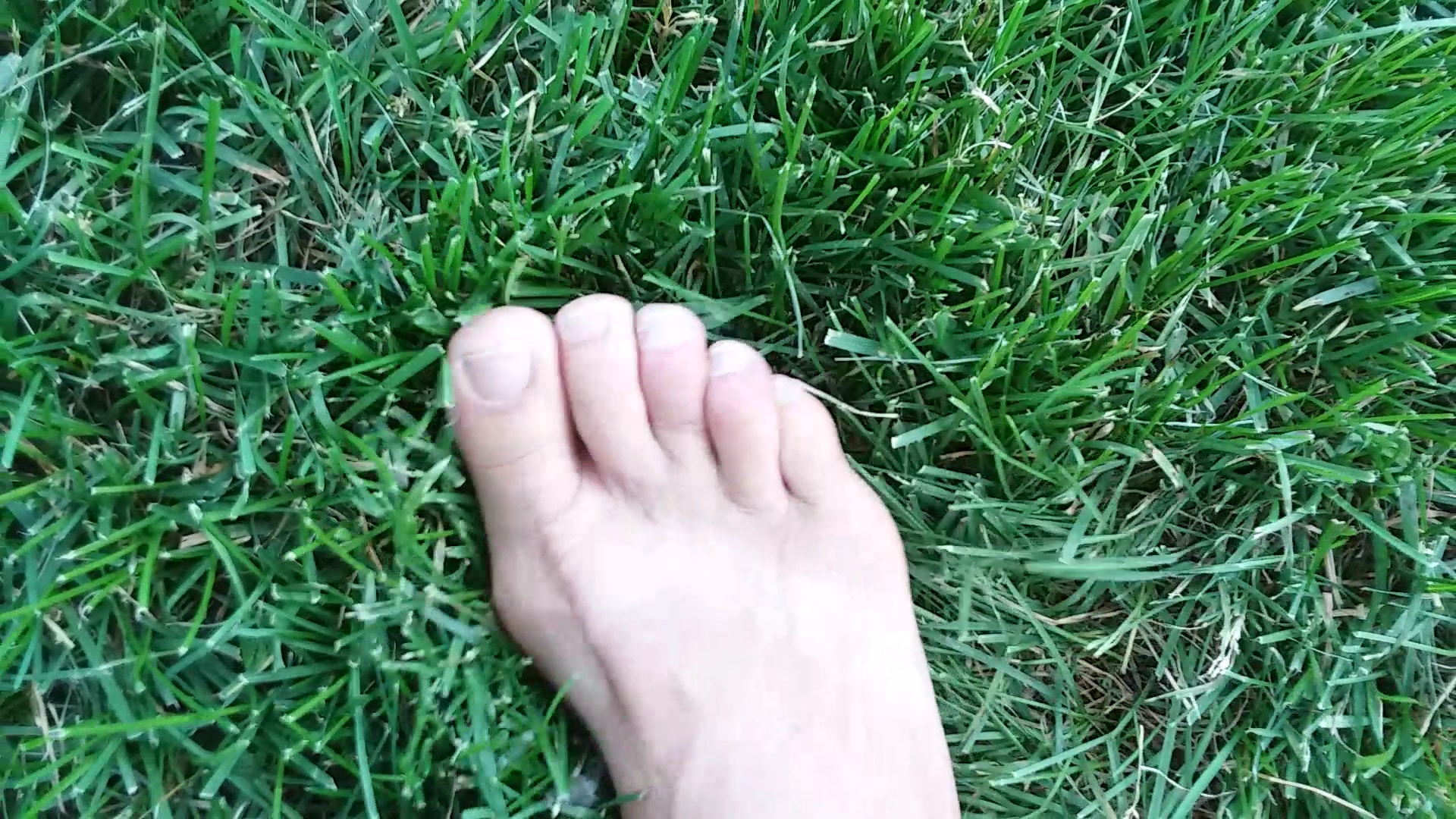 Fort Collins City Park - Fort Collins, CO