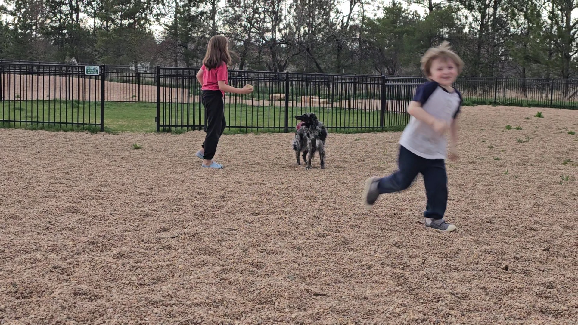Richard's Lake Dog Park - Fort Collins, CO