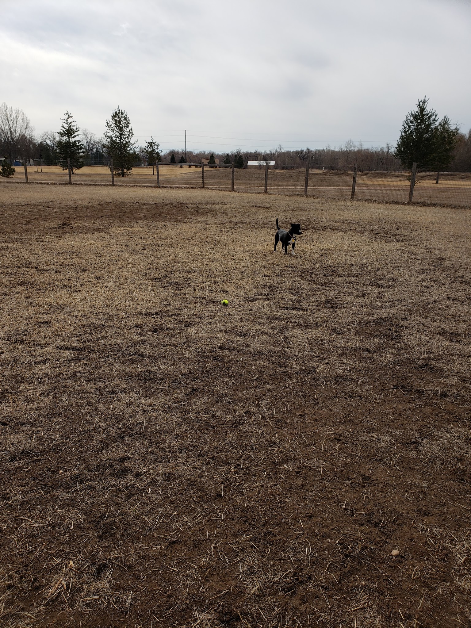 Soft Gold Park - Fort Collins, CO