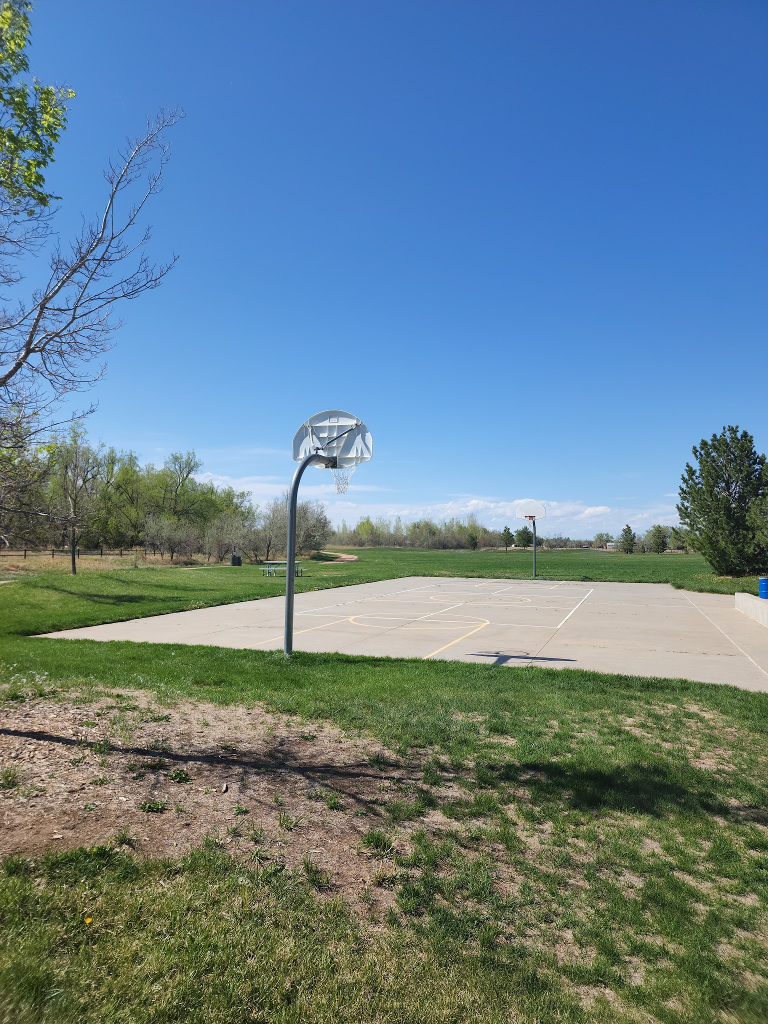 Soft Gold Park - Fort Collins, CO