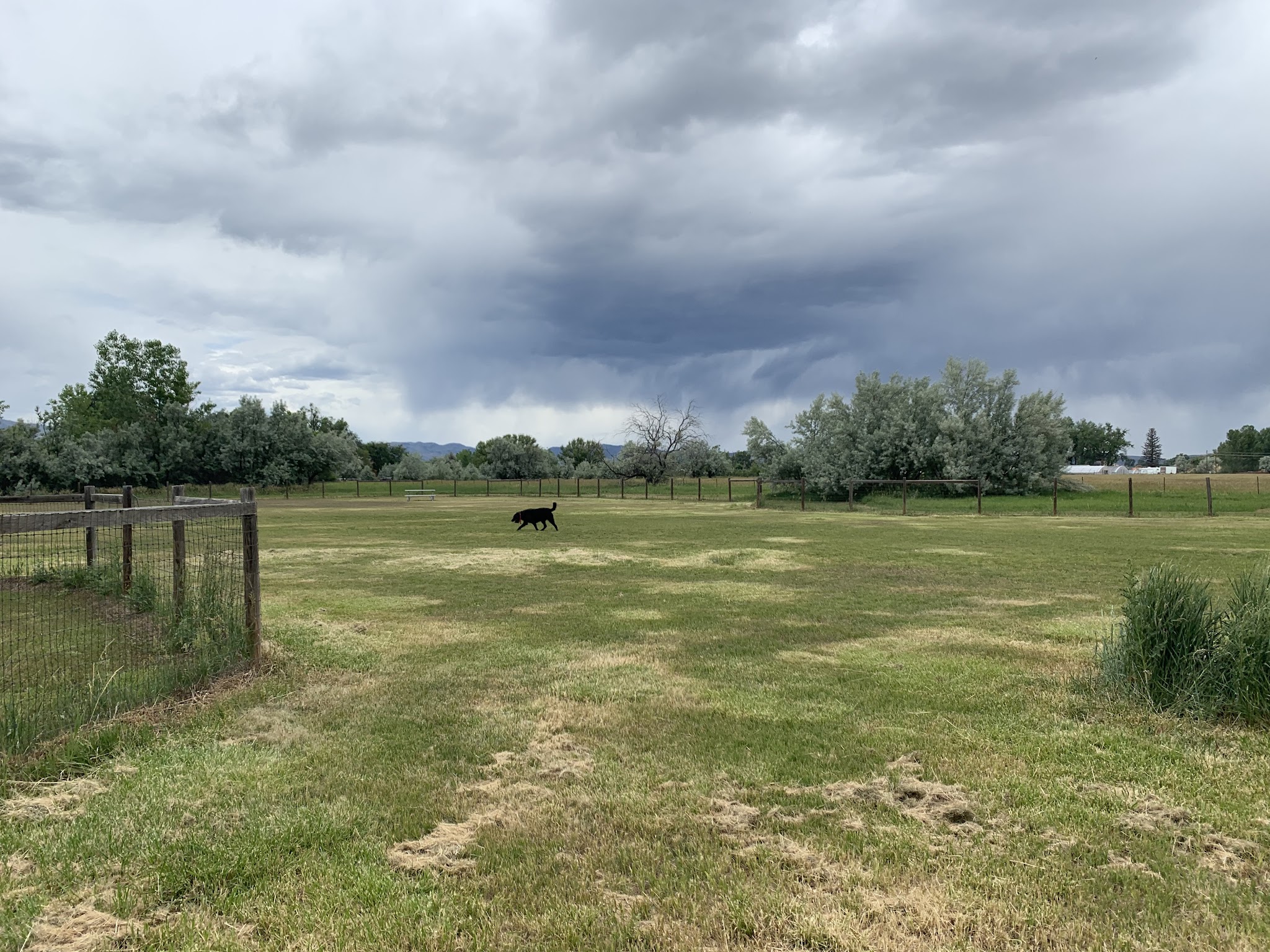 Soft Gold Park - Fort Collins, CO