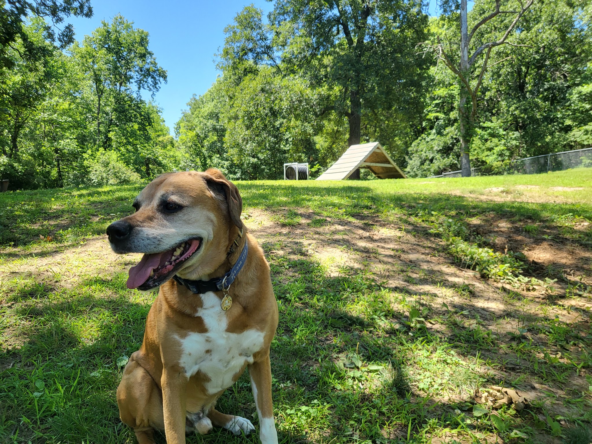 Fort Leavenworth Dog Park - Fort Leavenworth, KS
