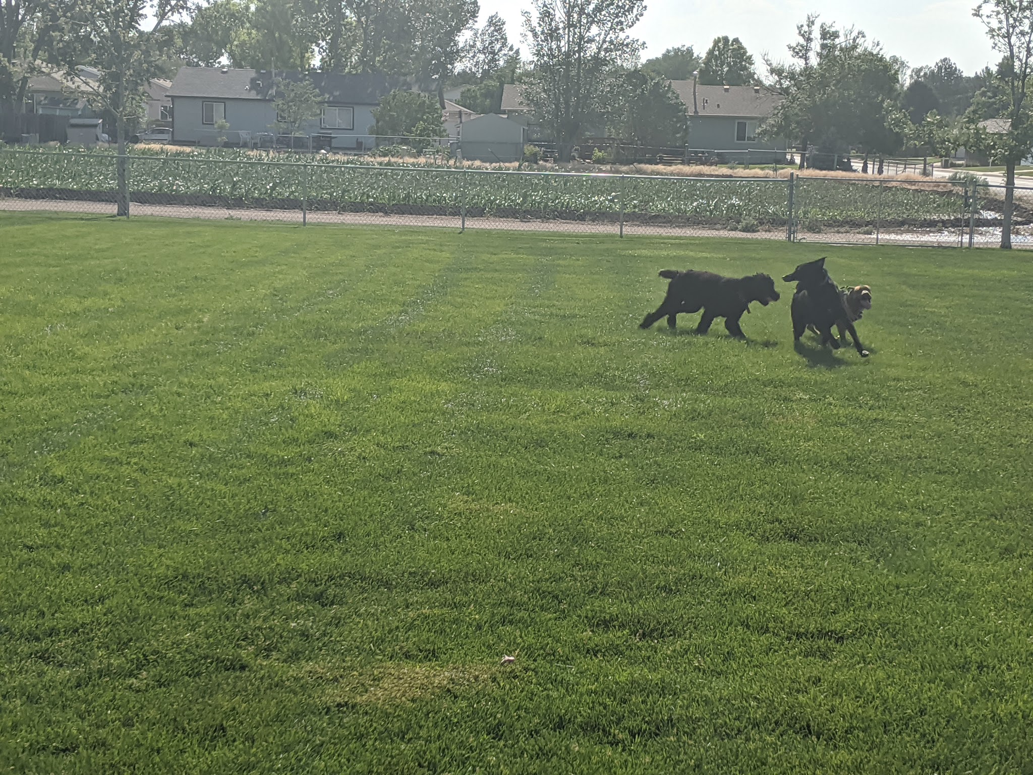 Fort Morgan Dog Park (Gateway) - Fort Morgan, CO
