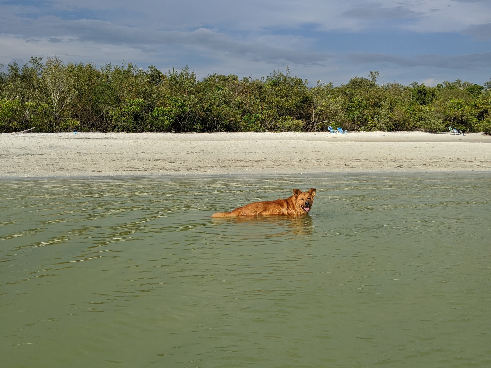 Bonita Beach Dog Park - Fort Myers Beach, FL