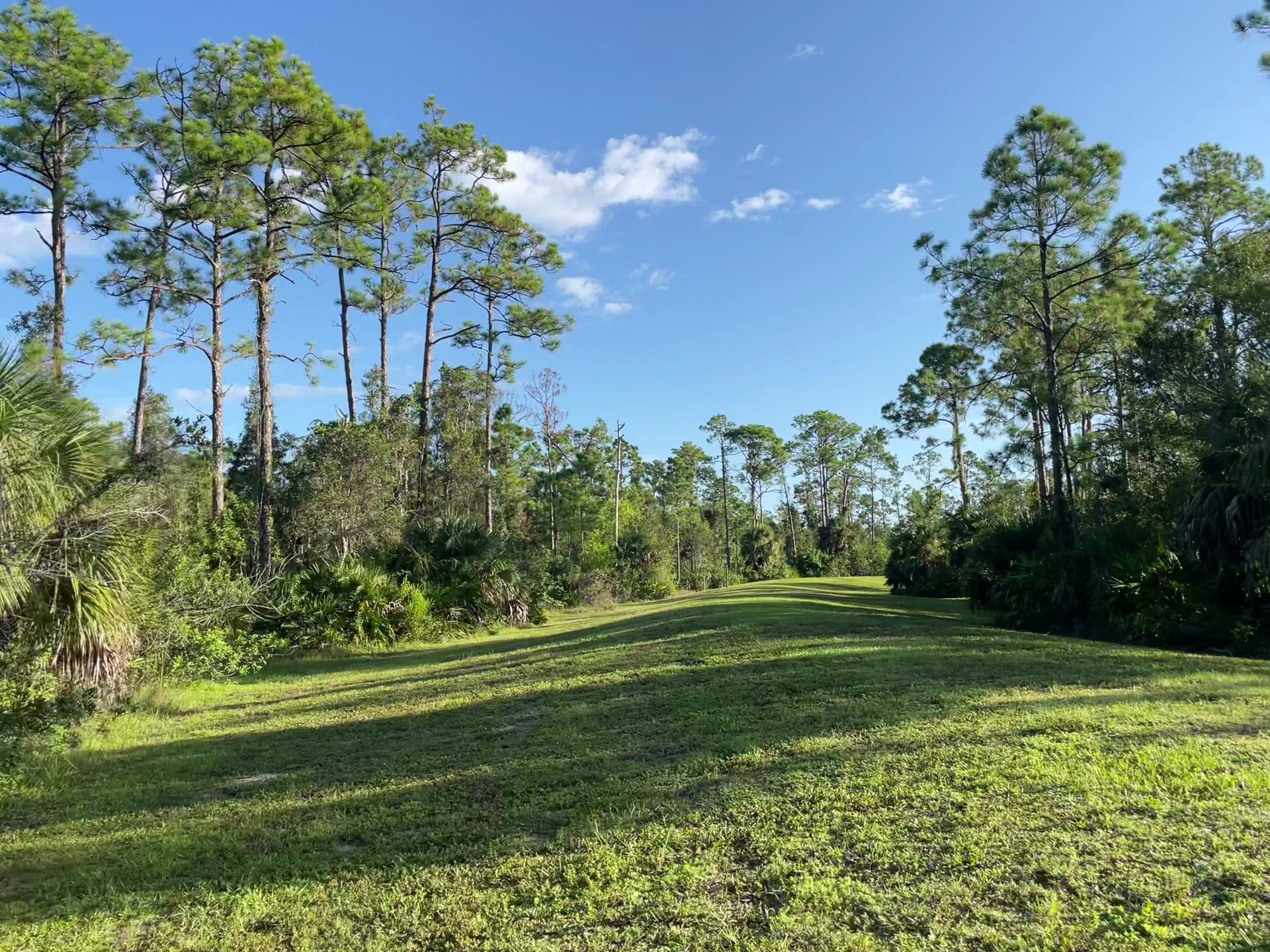 Buckingham Dog Park - Fort Myers, FL