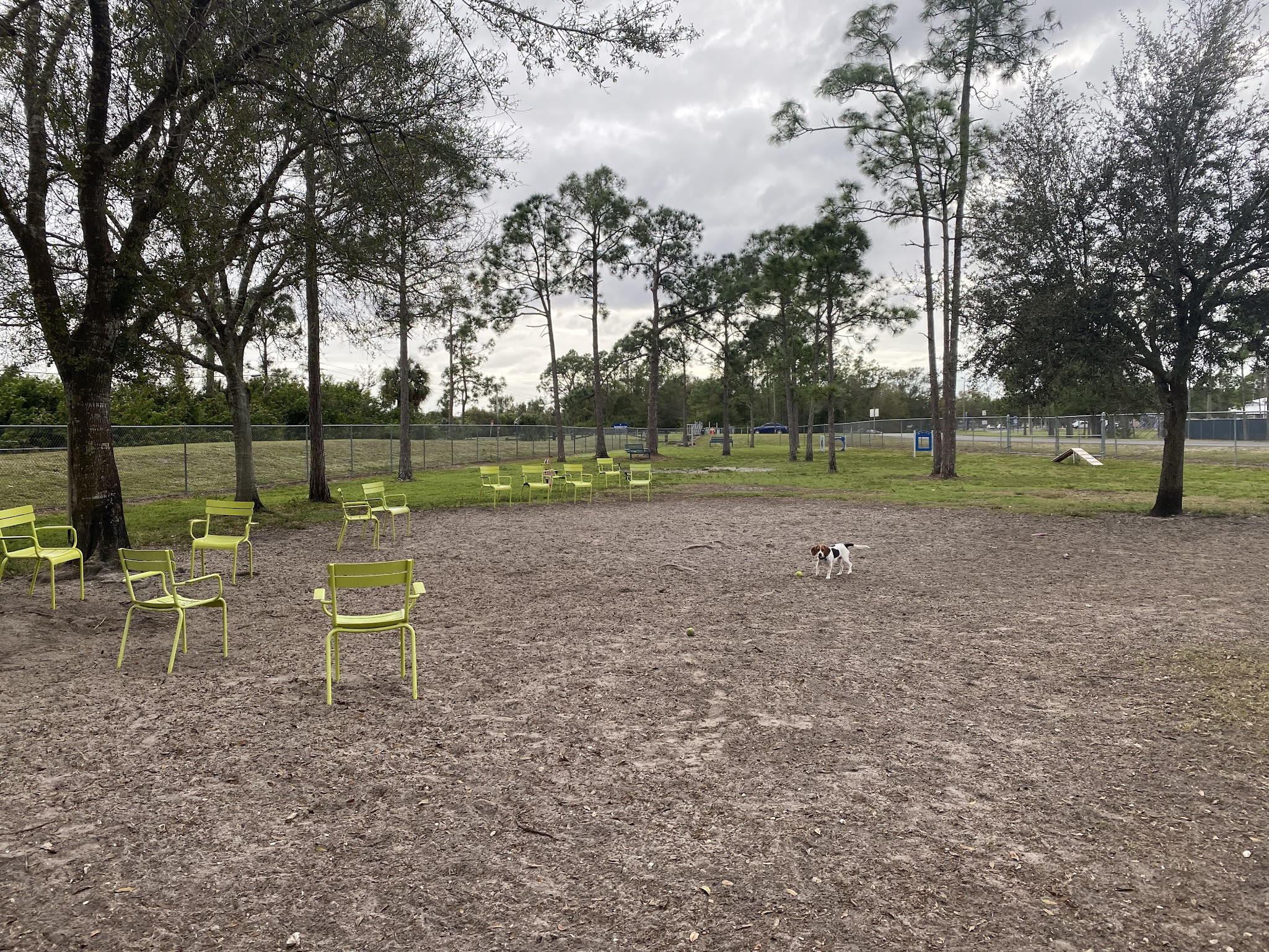 Buckingham Dog Park - Fort Myers, FL