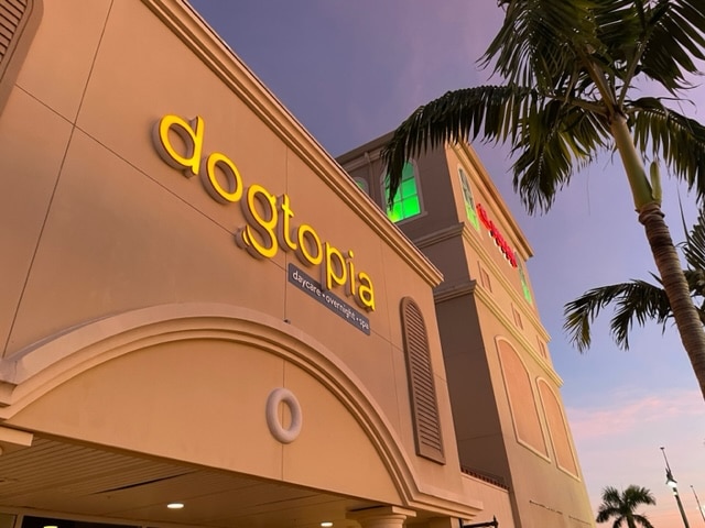 Dogtopia of Fort Myers- Daycare, Boarding, Spa - Fort Myers, FL