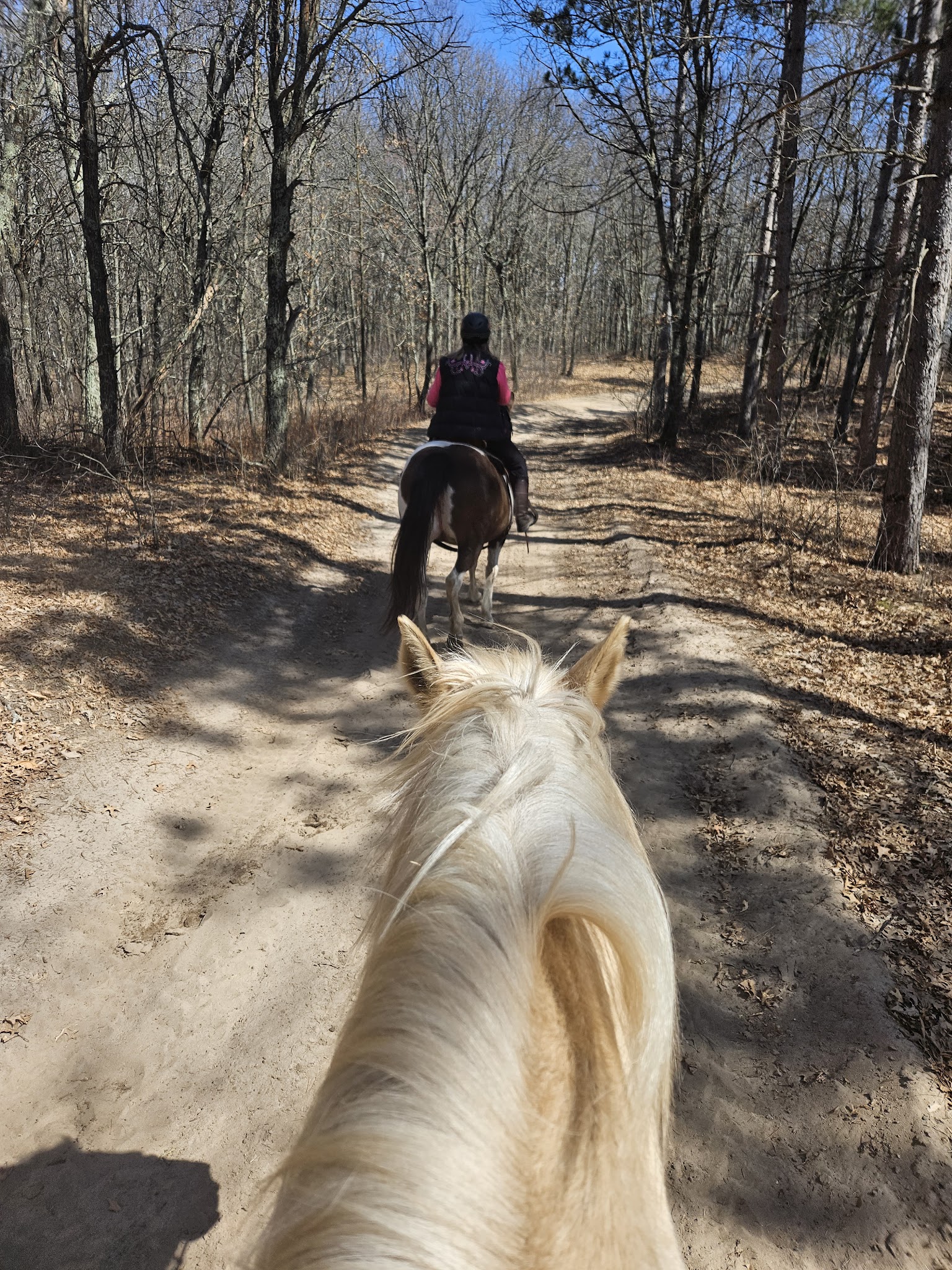 Fort Ripley Trail - Fort Ripley, MN