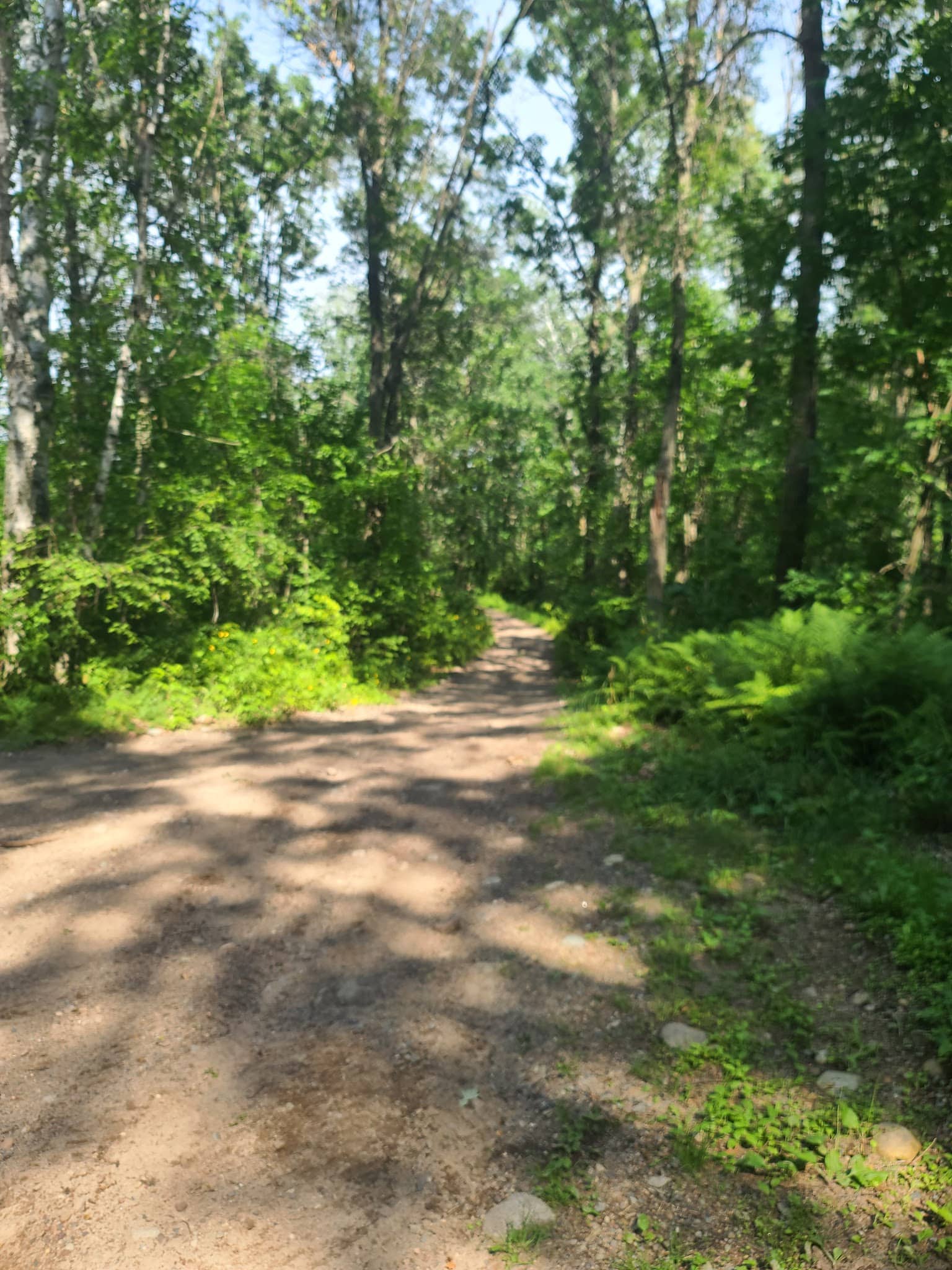 Fort Ripley Trail - Fort Ripley, MN