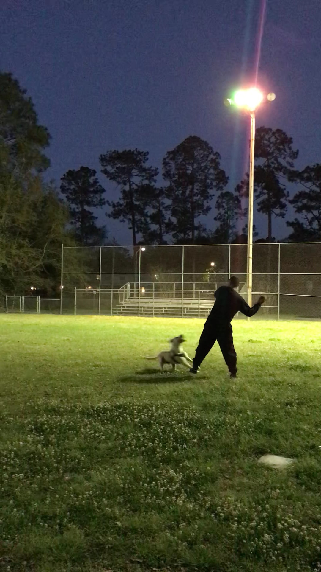 Dog Park - Fort Stewart, GA