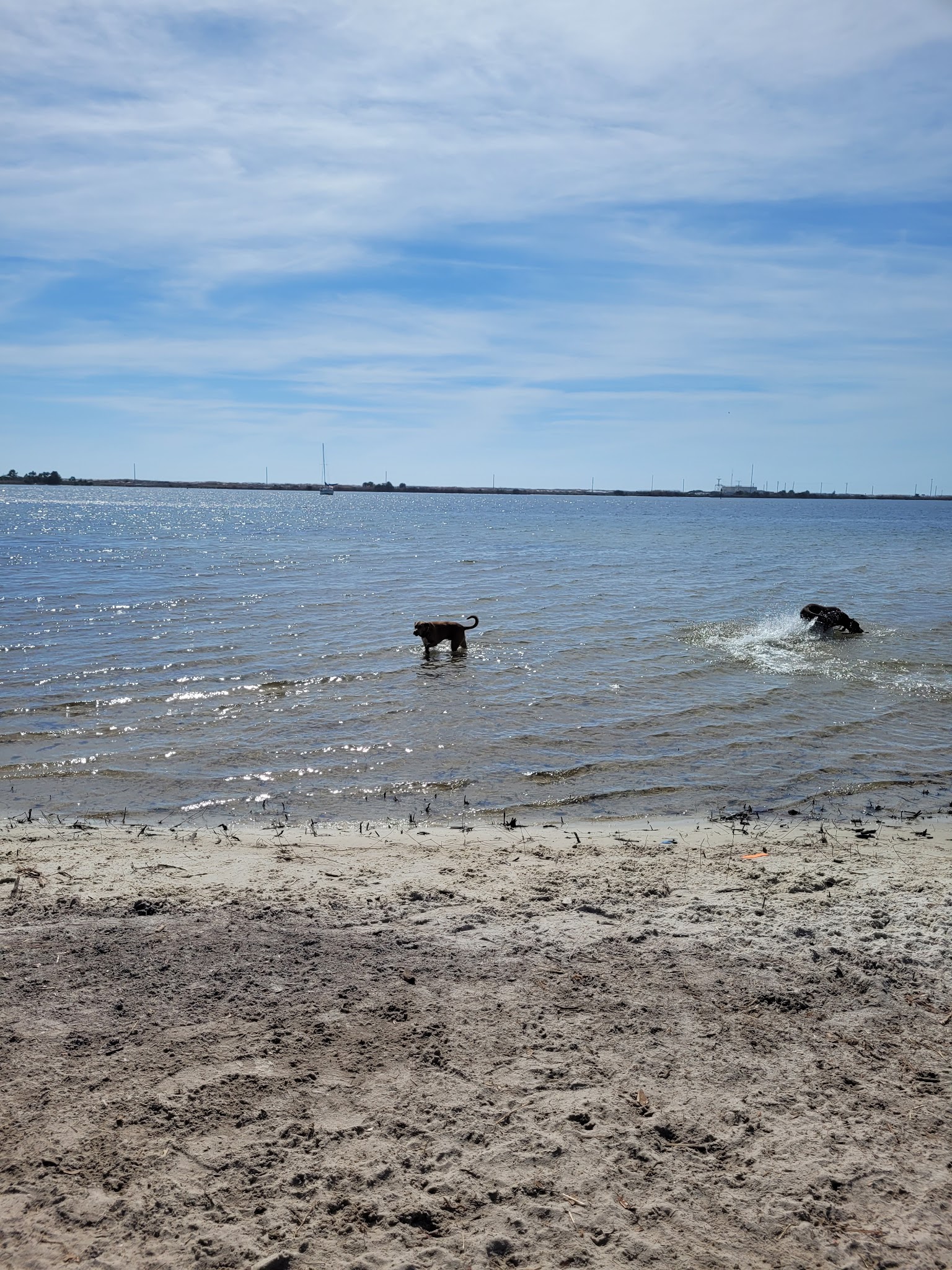 Liza Jackson Dog Park - Fort Walton Beach, FL