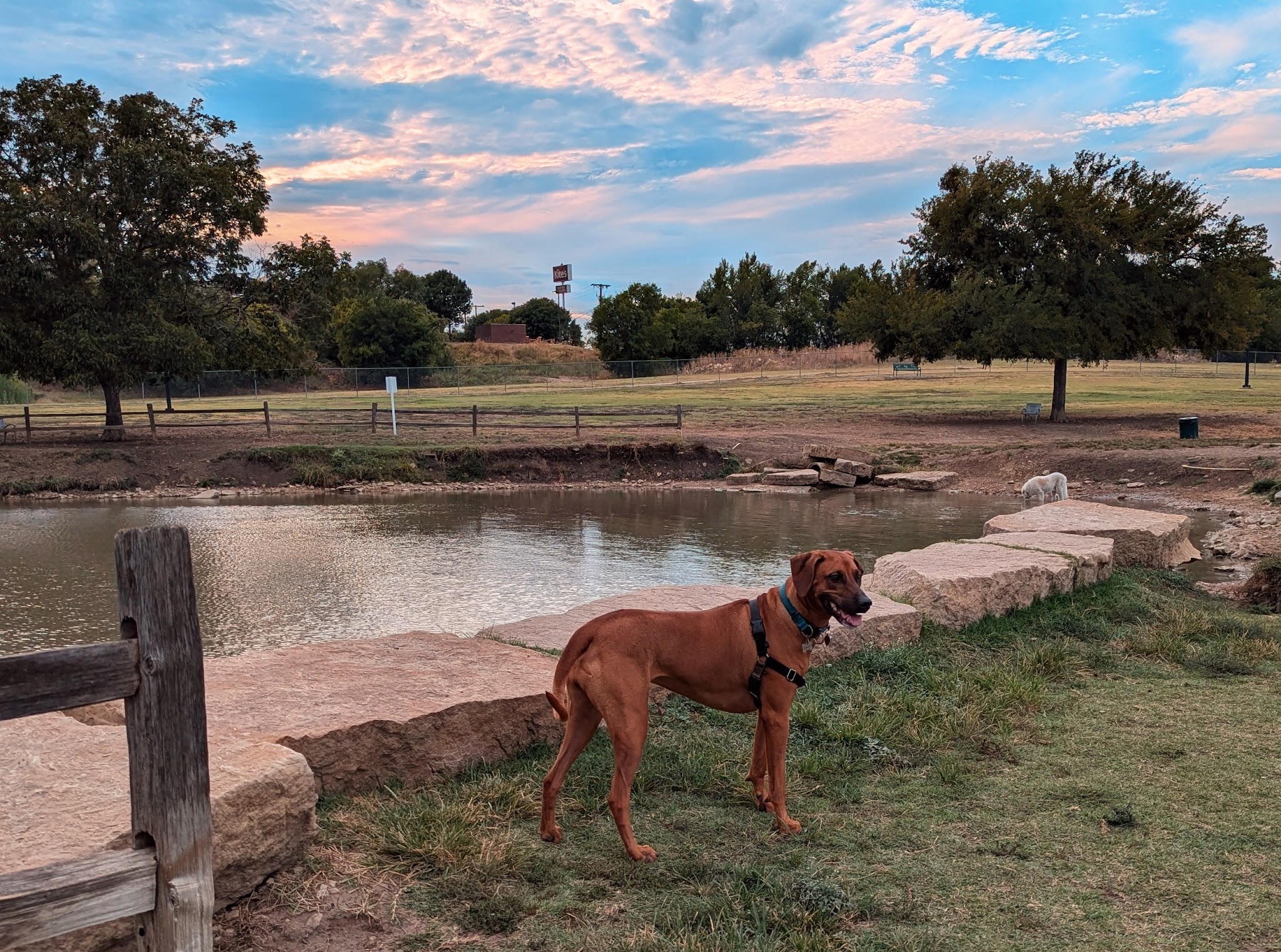 North Z Boaz Park - Fort Worth, TX