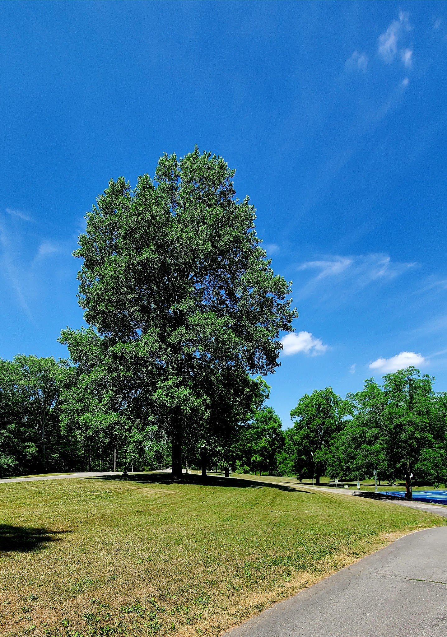 Memorial Park - Fortville, IN