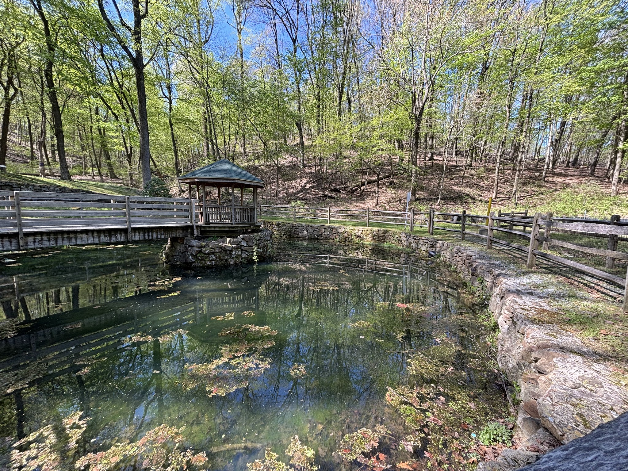 Lechauweki Springs - Fountain Hill, PA