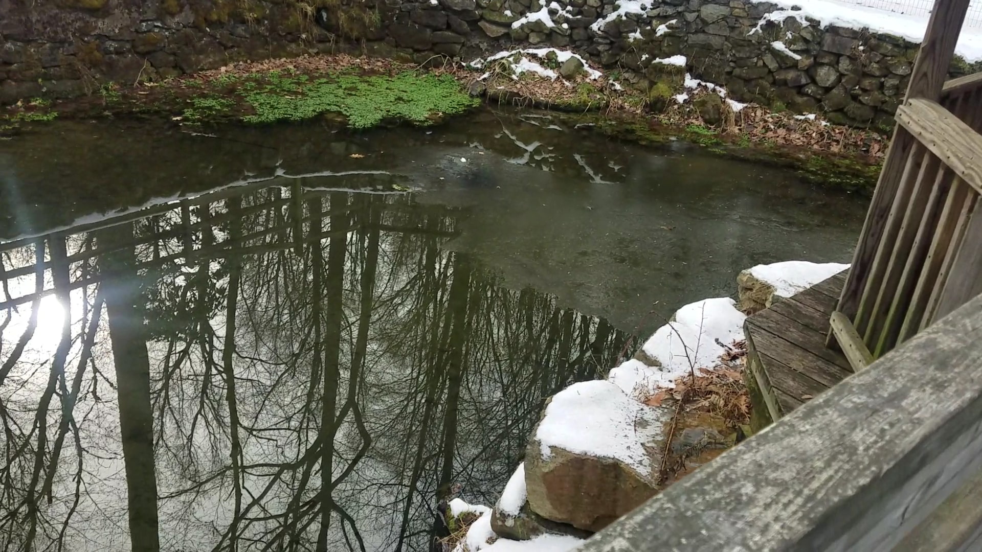 Lechauweki Springs - Fountain Hill, PA