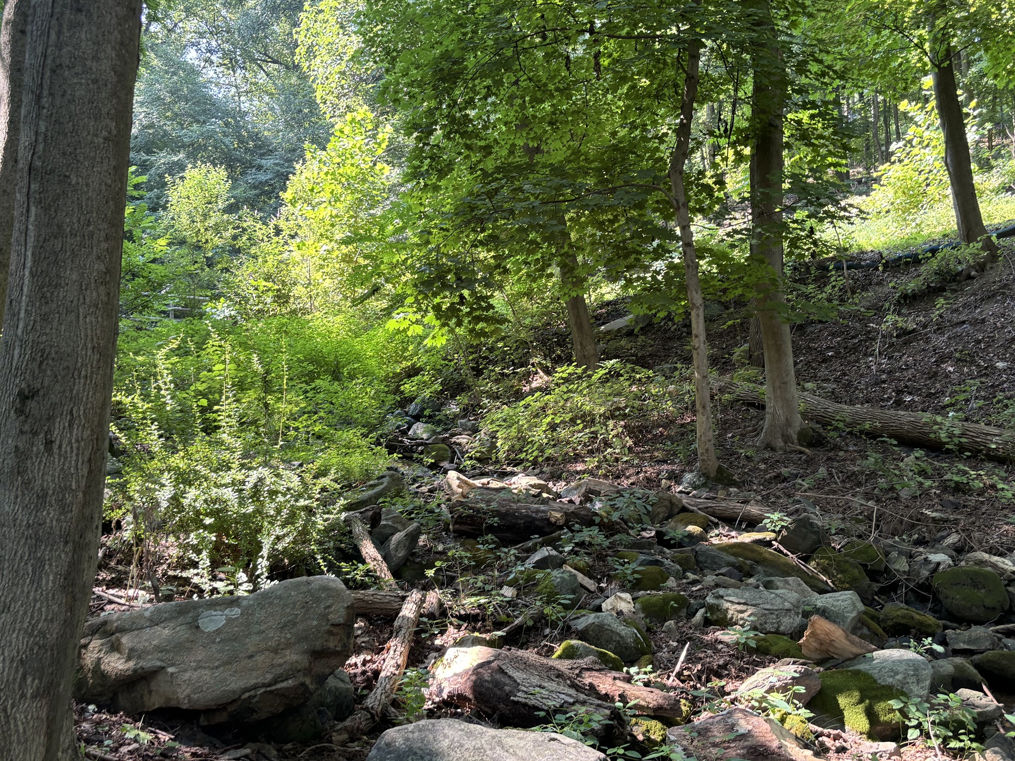 Lechauweki Springs - Fountain Hill, PA