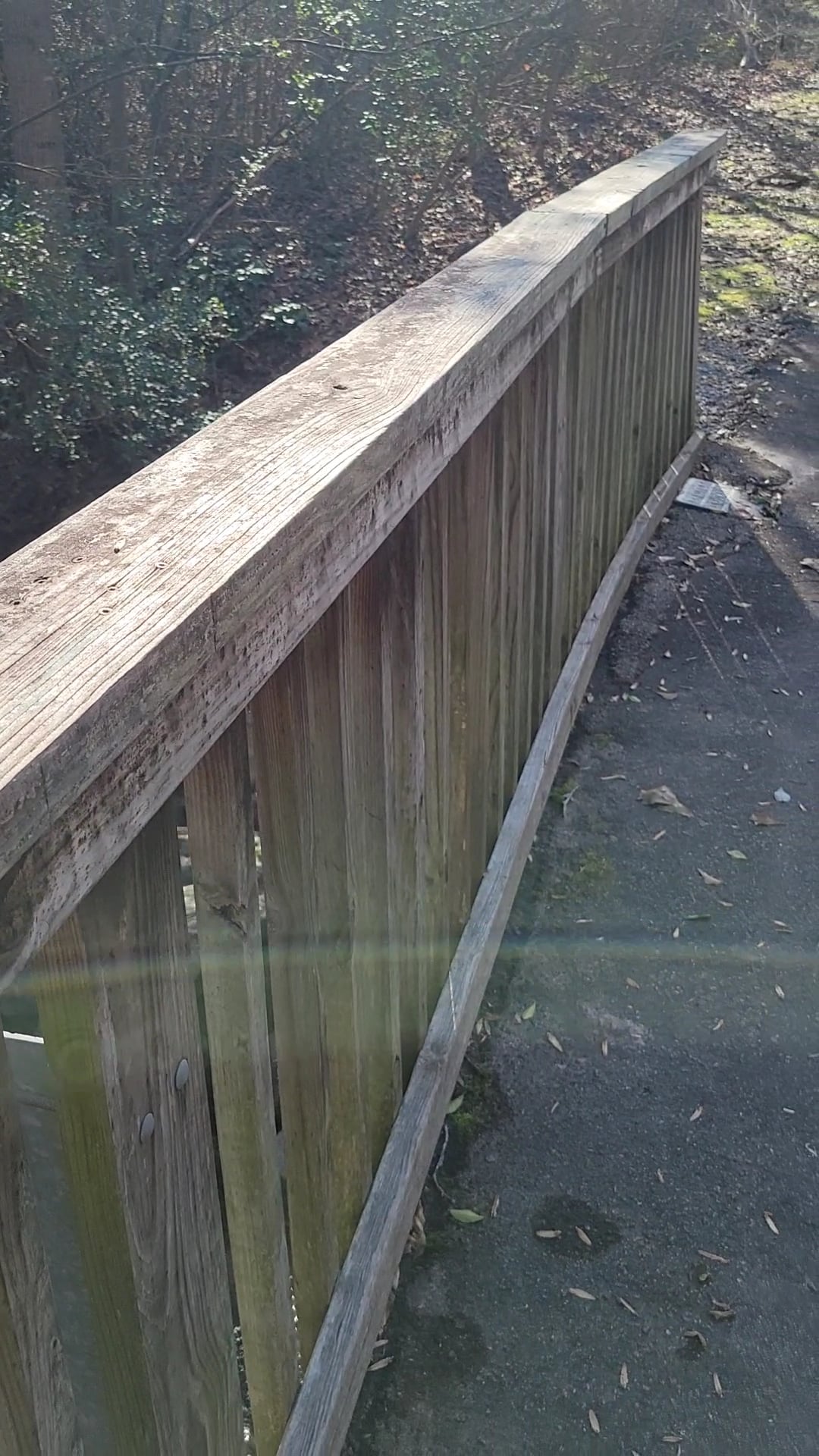 Trail Head for Swamp Rabbit Trail in Fountain Inn - Fountain Inn, SC