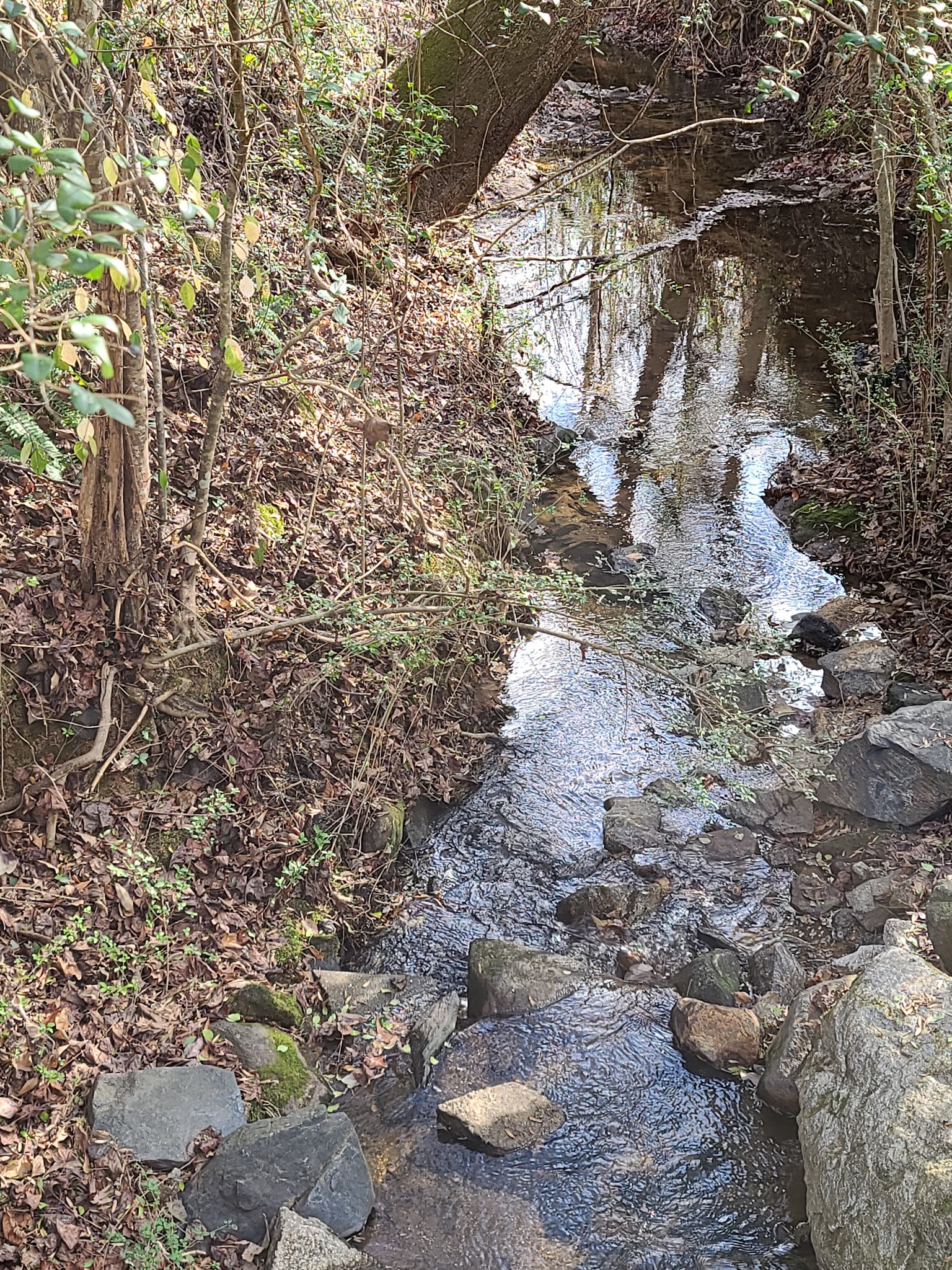 Trail Head for Swamp Rabbit Trail in Fountain Inn - Fountain Inn, SC