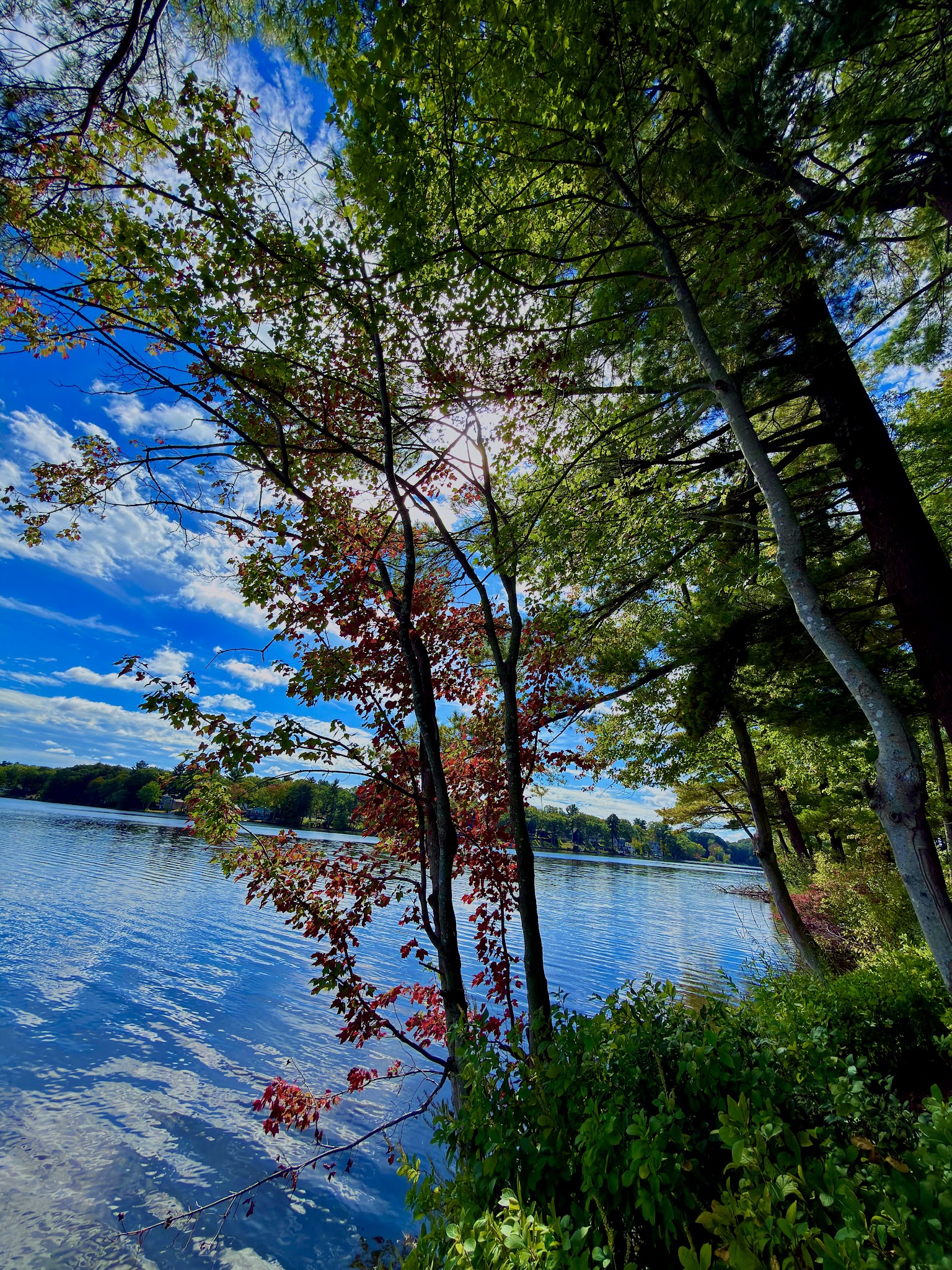 Storybook Trail - Foxborough, MA