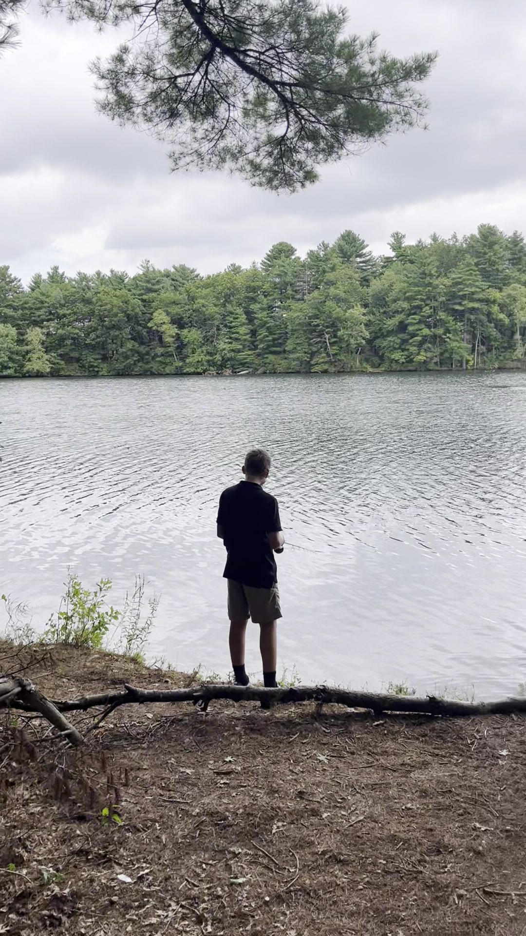 Storybook Trail - Foxborough, MA