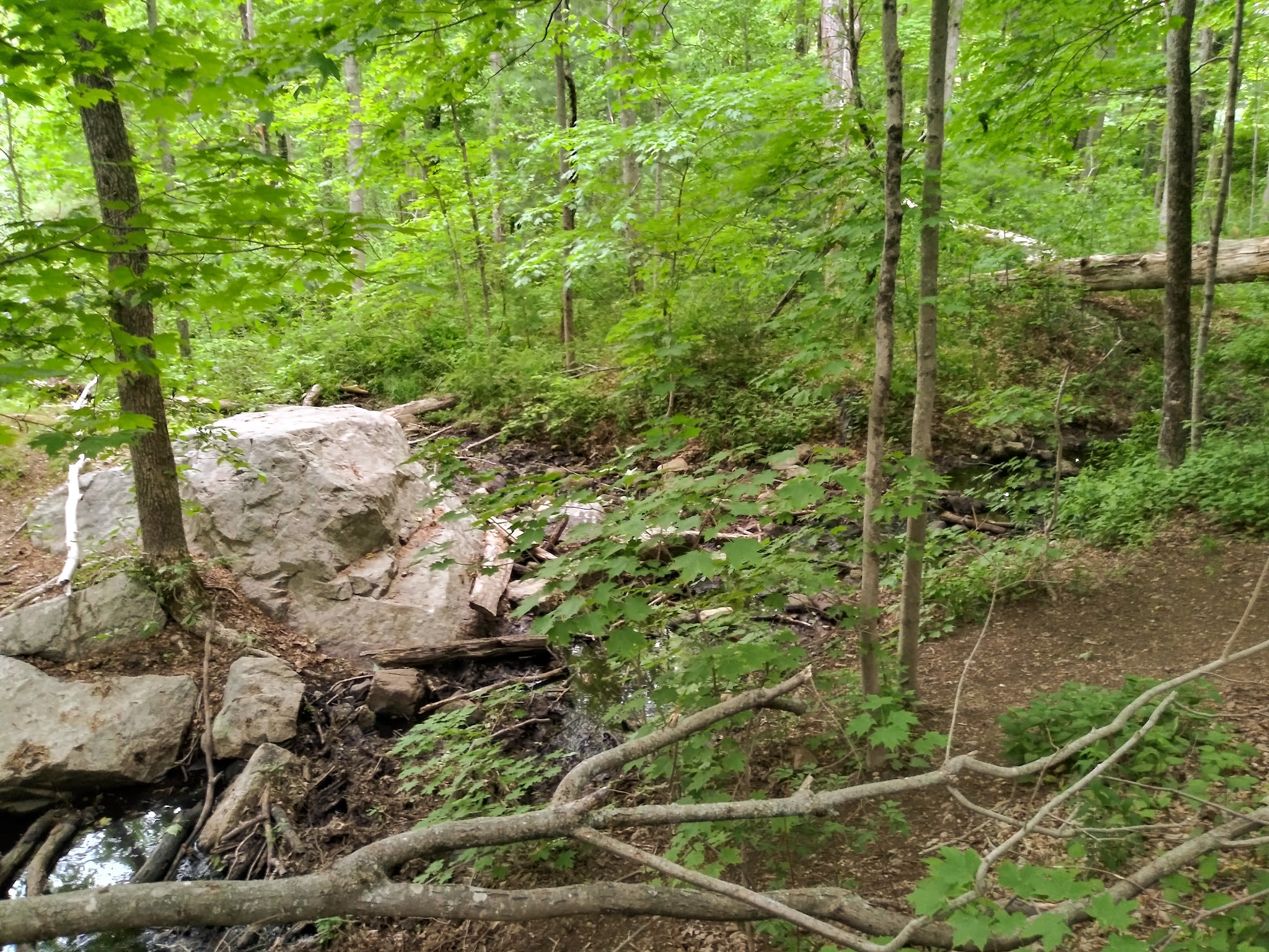 William O. Hocking, Jr. Memoral Trailhead - Foxborough, MA