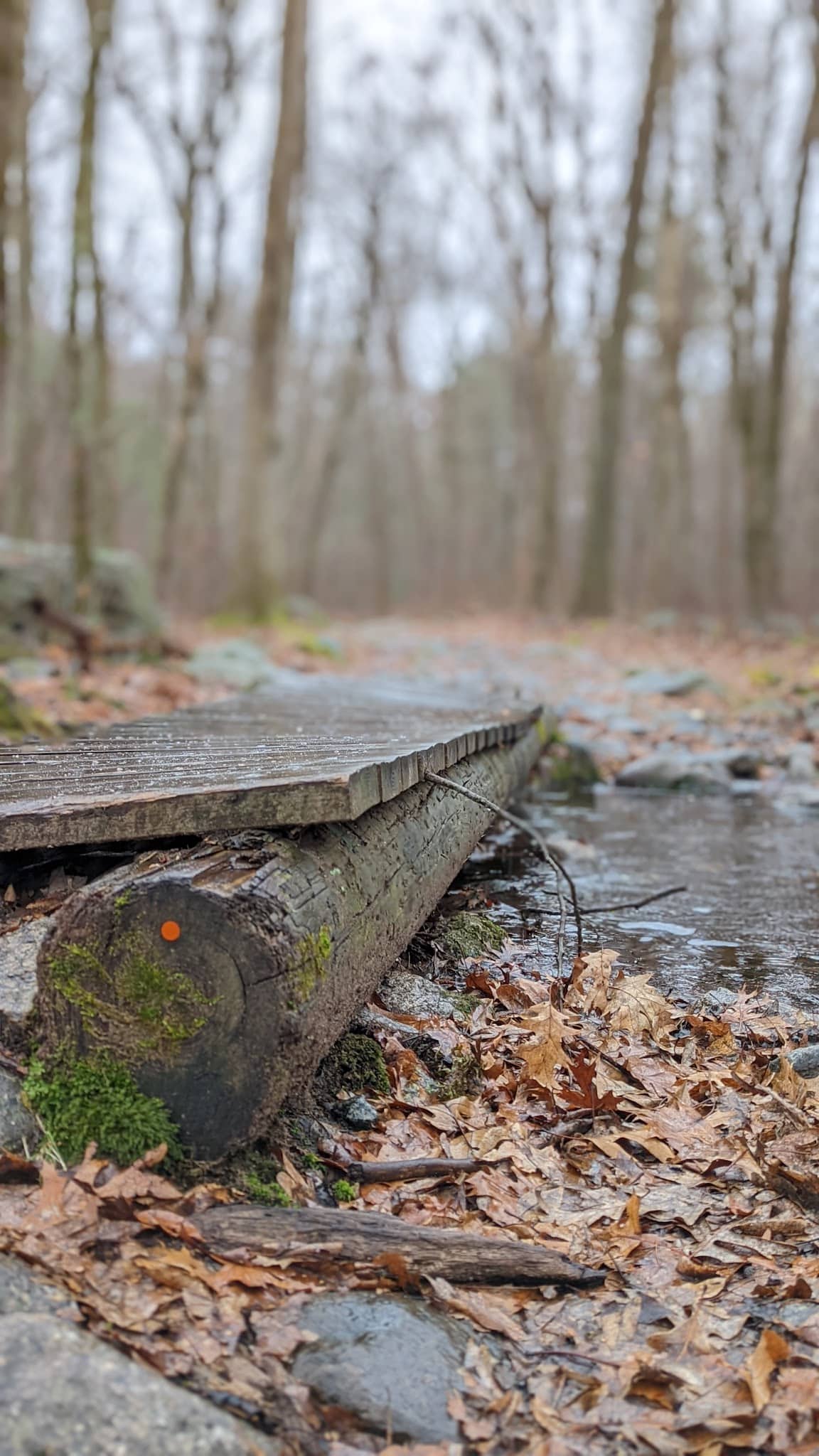 William O. Hocking, Jr. Memoral Trailhead - Foxborough, MA