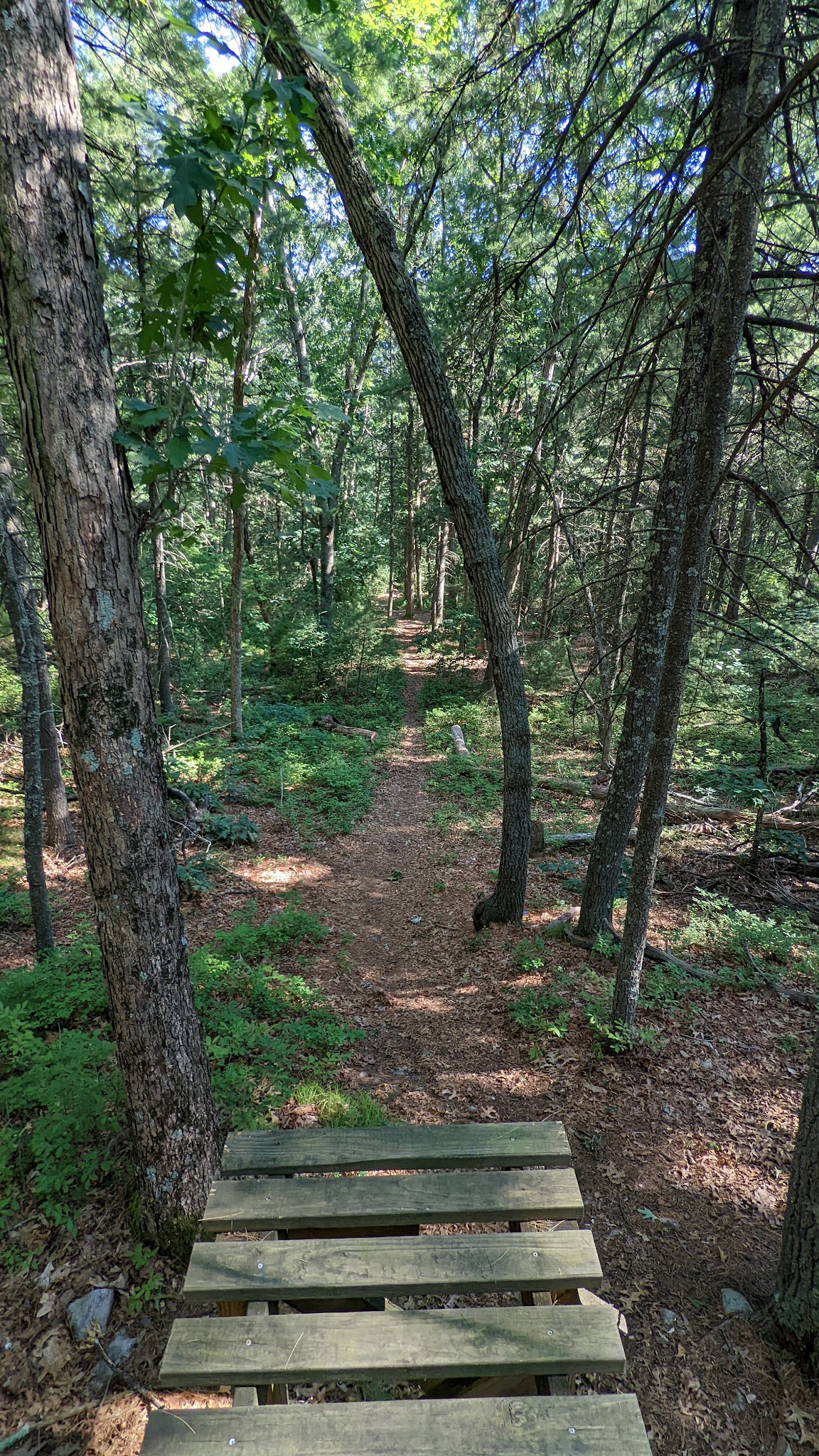 William O. Hocking, Jr. Memoral Trailhead - Foxborough, MA