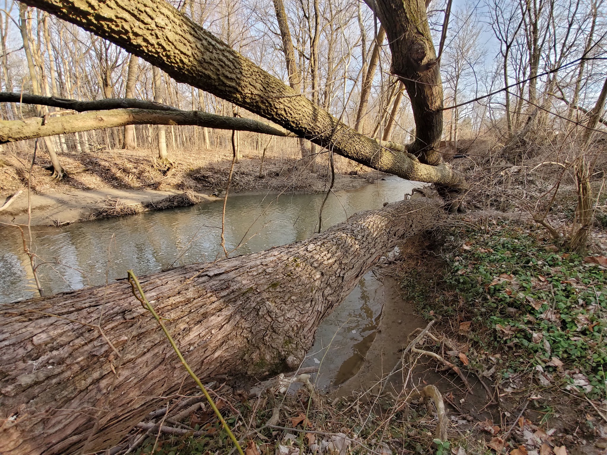 Curt Day Horshoe Courts - Frankfort, IN