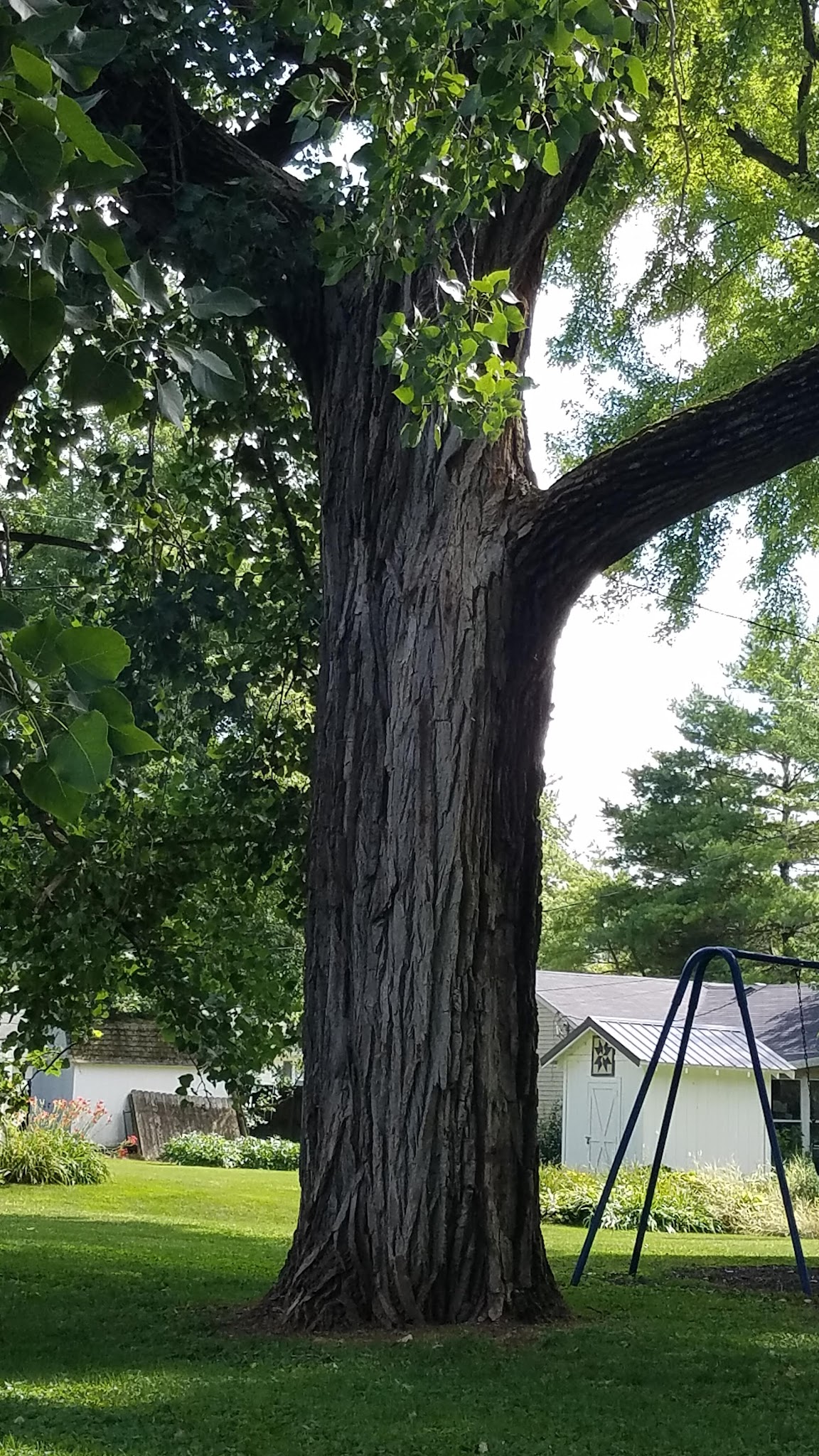 Curt Day Horshoe Courts - Frankfort, IN