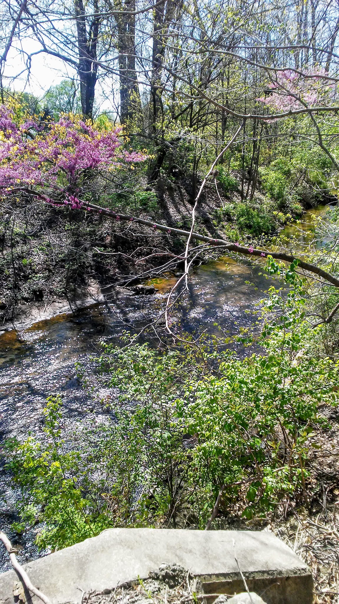 Curt Day Horshoe Courts - Frankfort, IN