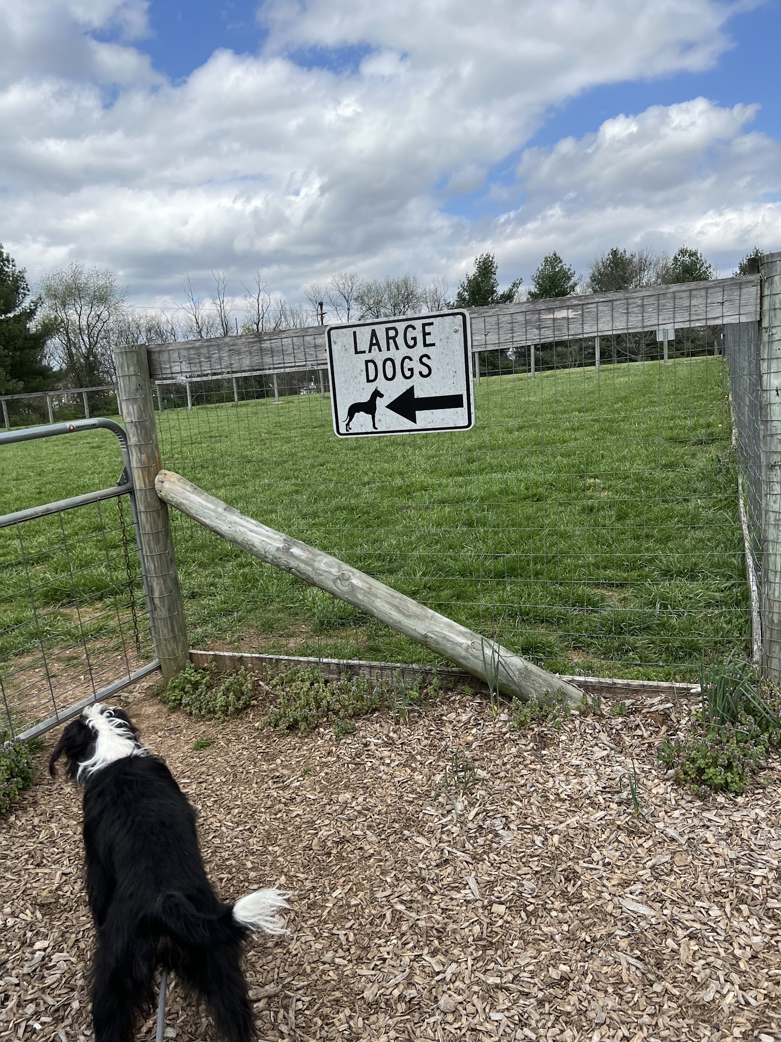 Lakeview dog park - Frankfort, KY