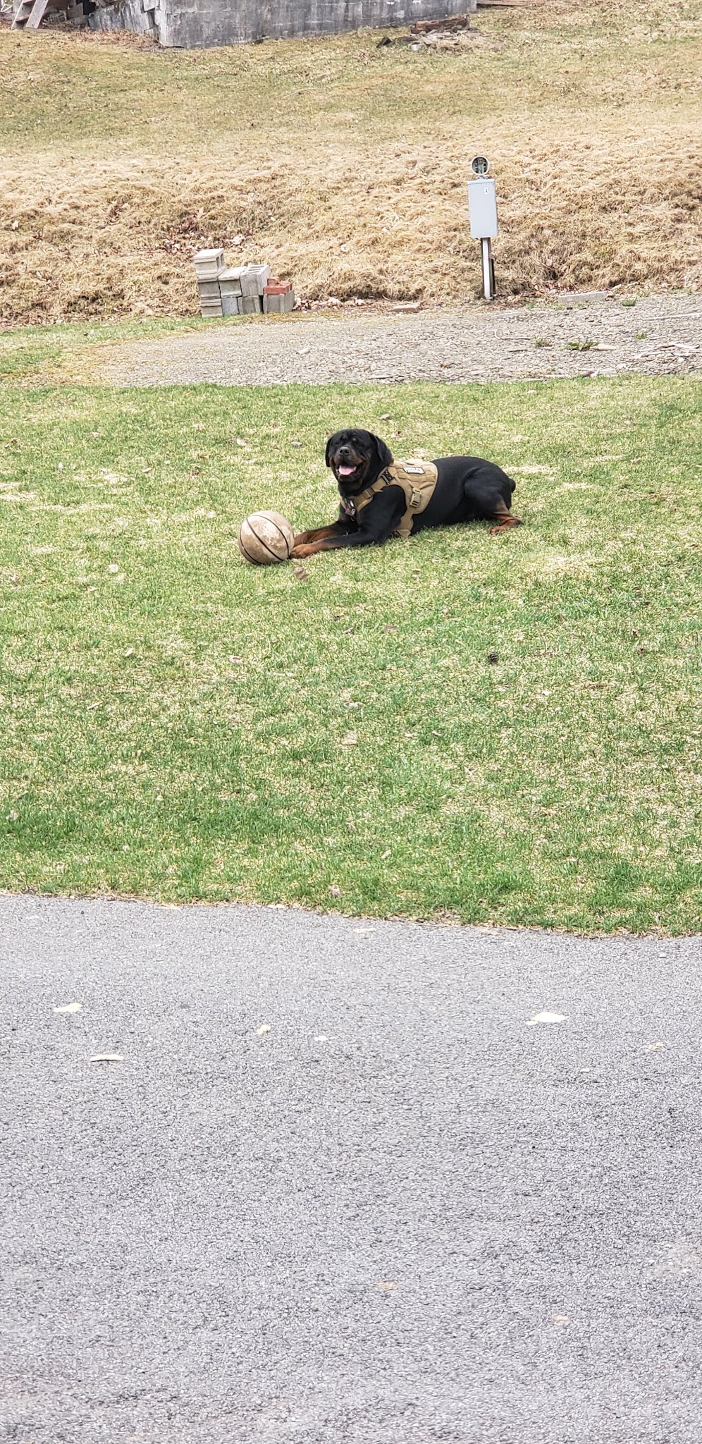 East Sidney Dam Recreation Area - Franklin, NY
