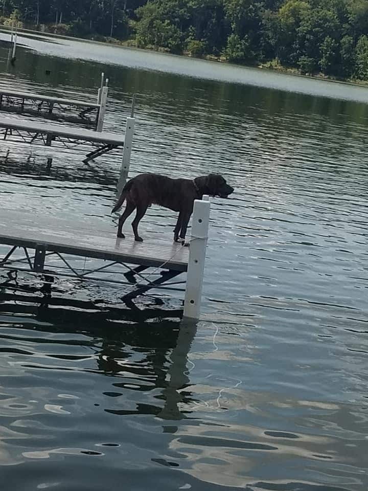 East Sidney Dam Recreation Area - Franklin, NY