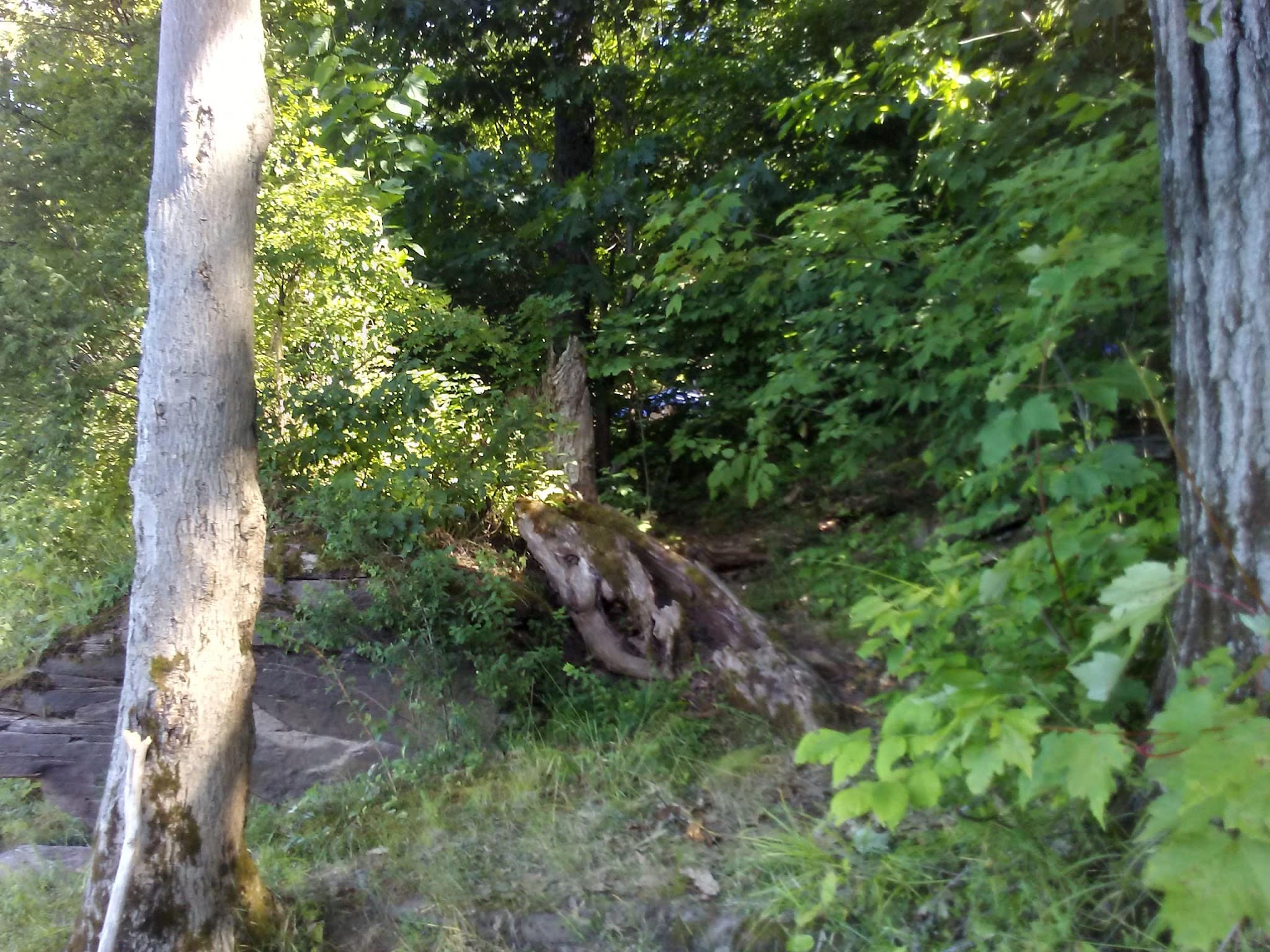 East Sidney Dam Recreation Area - Franklin, NY