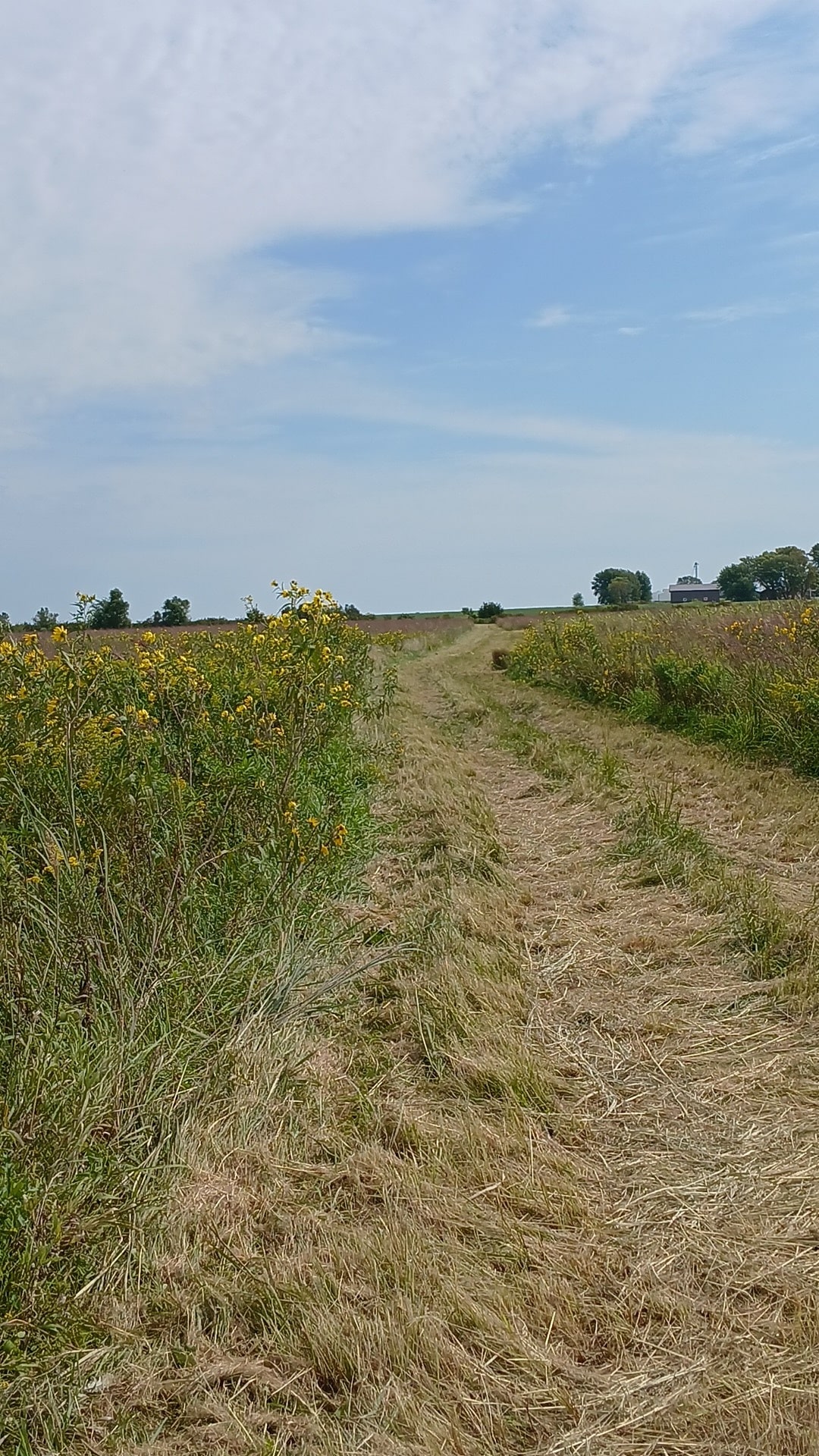 Fredericksburg Wildlife Area - Fredericksburg, IA