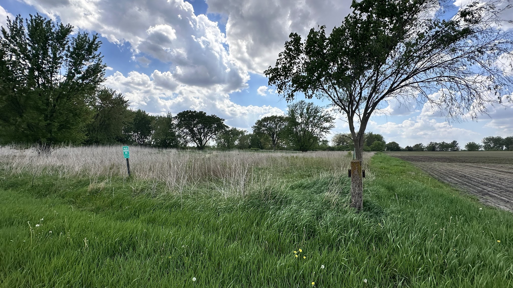 Schroeder Preserve - Fredericksburg, IA