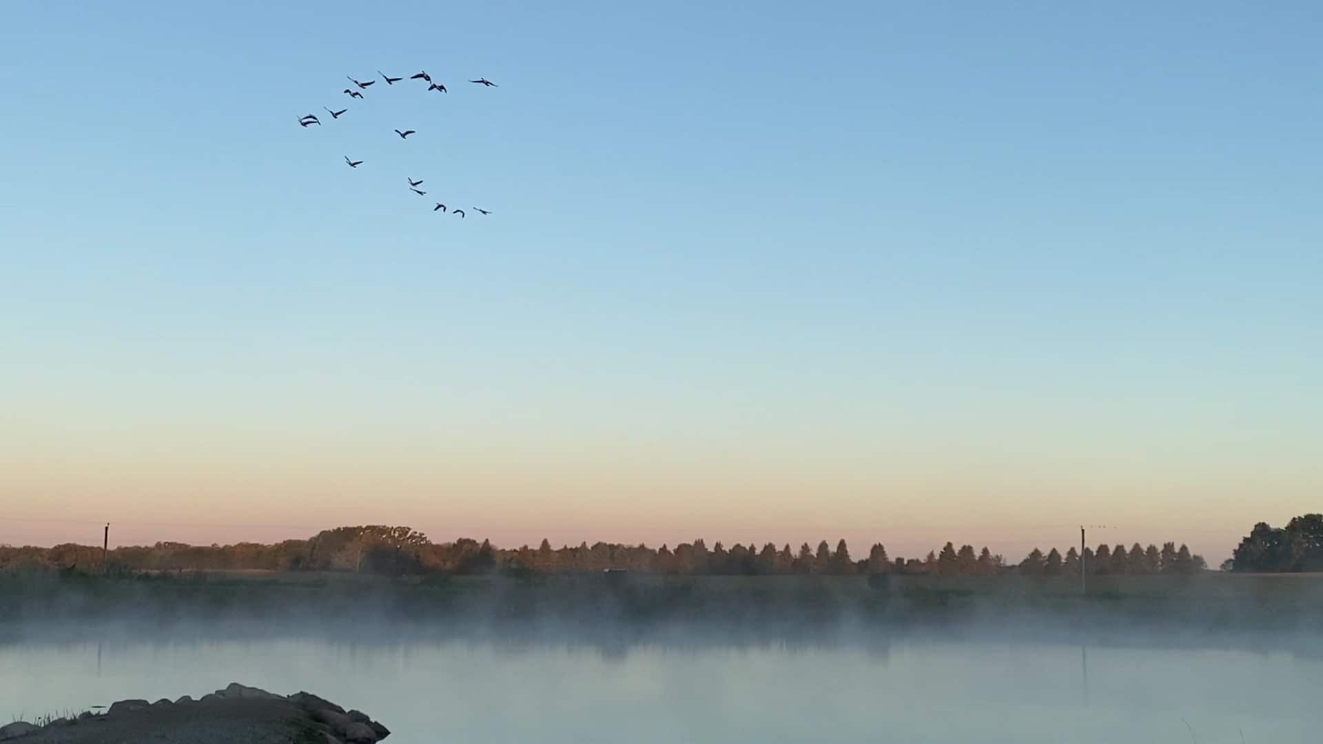 Split Rock County Park - Fredericksburg, IA