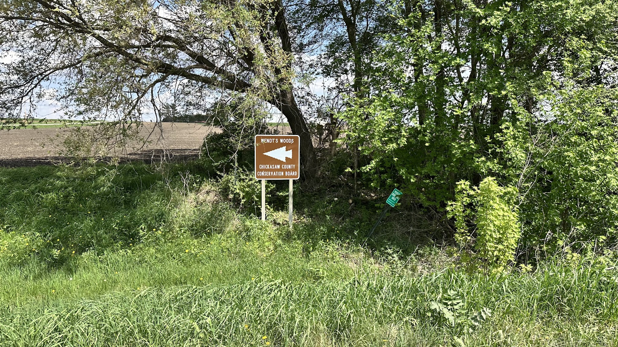 Wendt’s Woods - Fredericksburg, IA