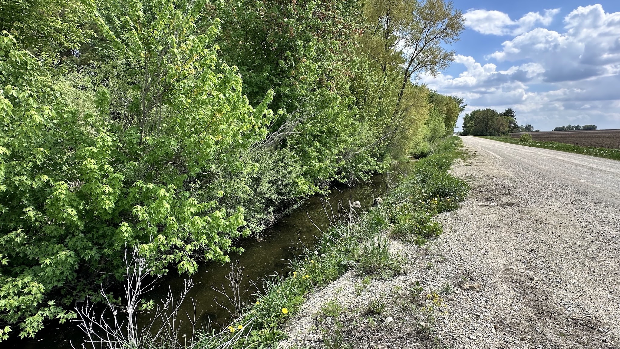 Wendt’s Woods - Fredericksburg, IA