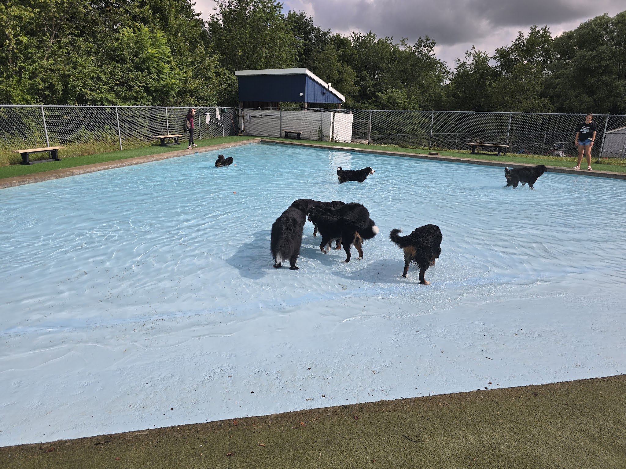 Lucky Paws Pet Resort - Freedom, PA